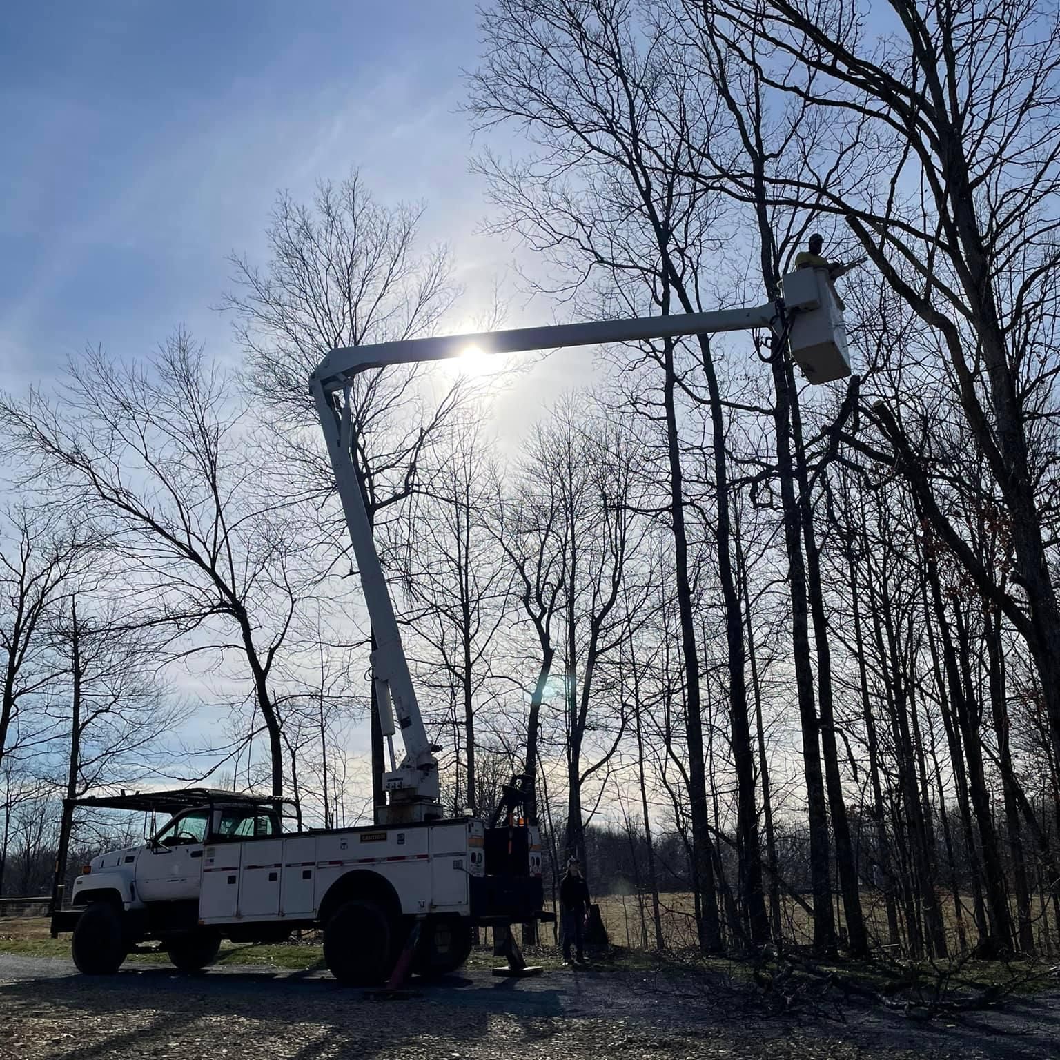 Fall and Spring Clean Up for Atwood’s Tree Care in Liberty,  KY