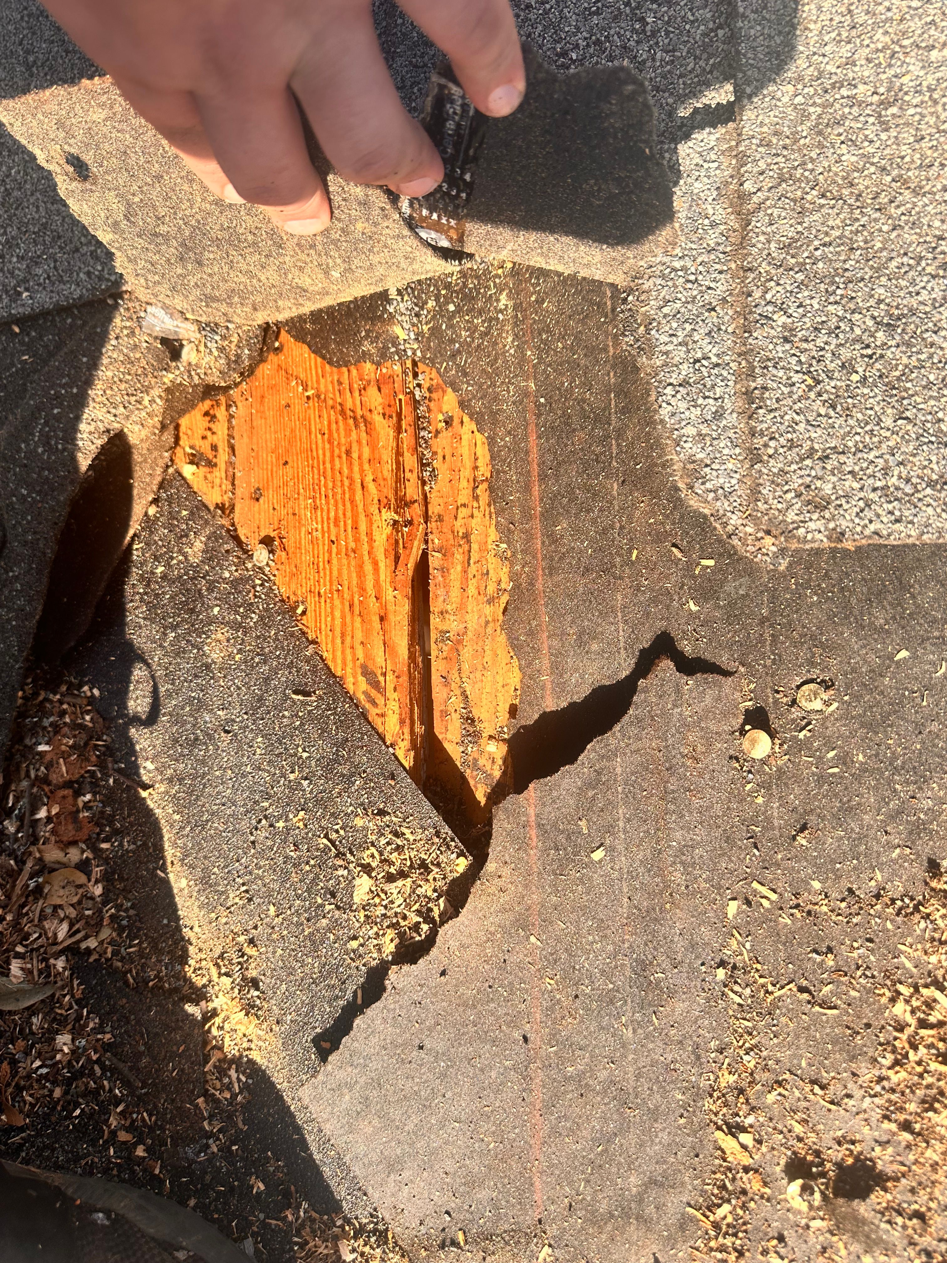  for Hometown Roofing in Greenwood, SC