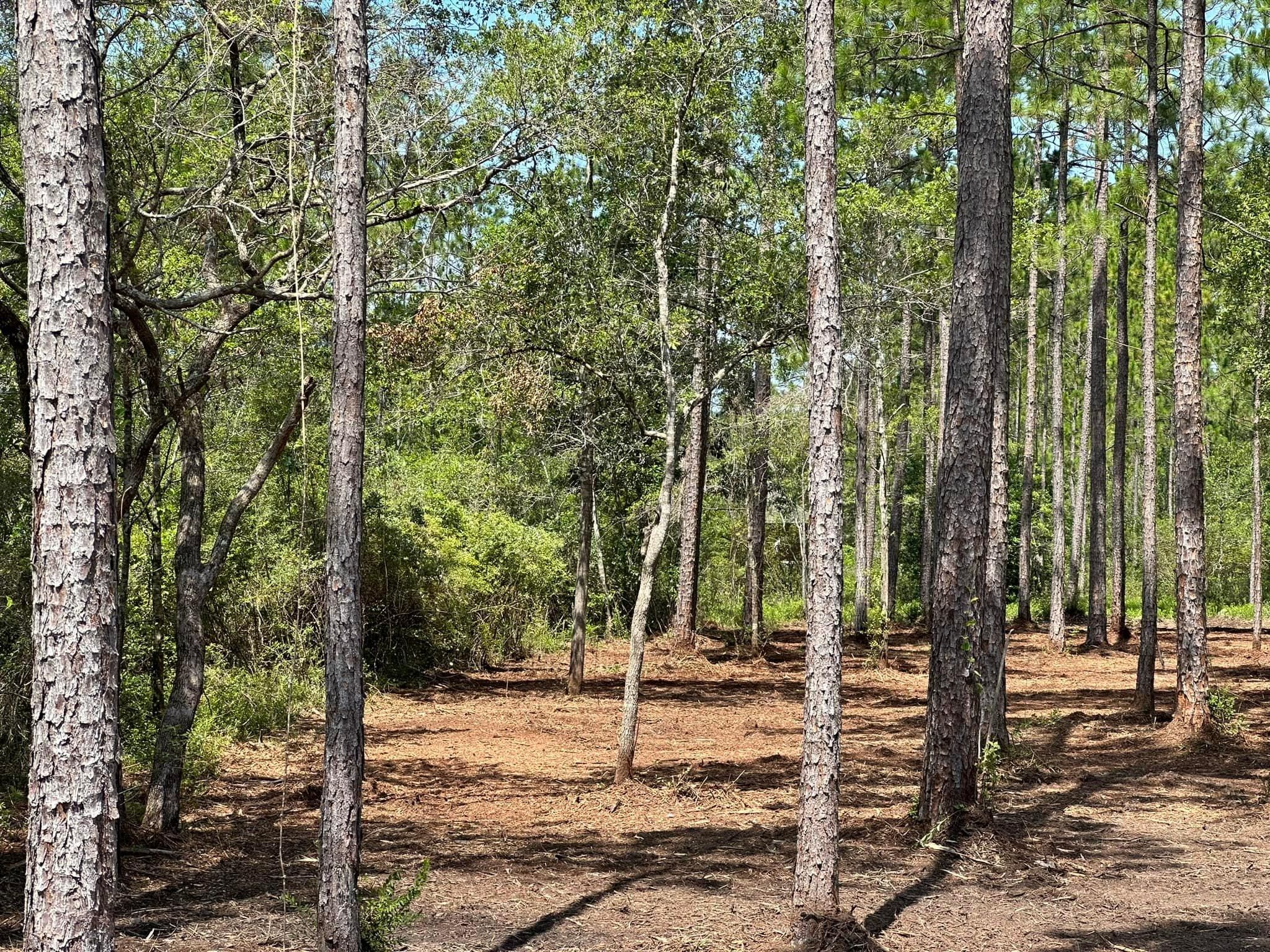 All Photos for White’s Land Maintenance in Milton,, FL