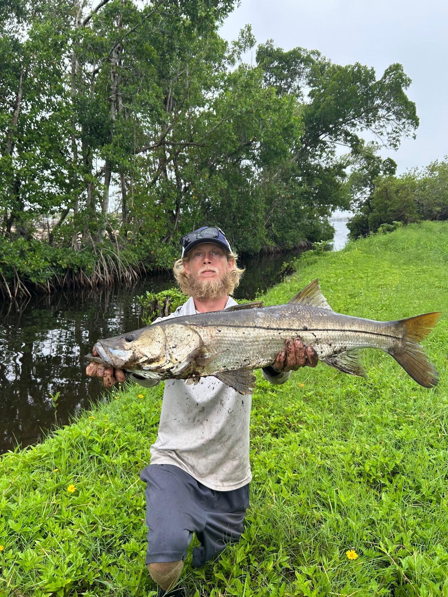  for Advanced Landscaping Solutions LLC in Fort Myers, FL