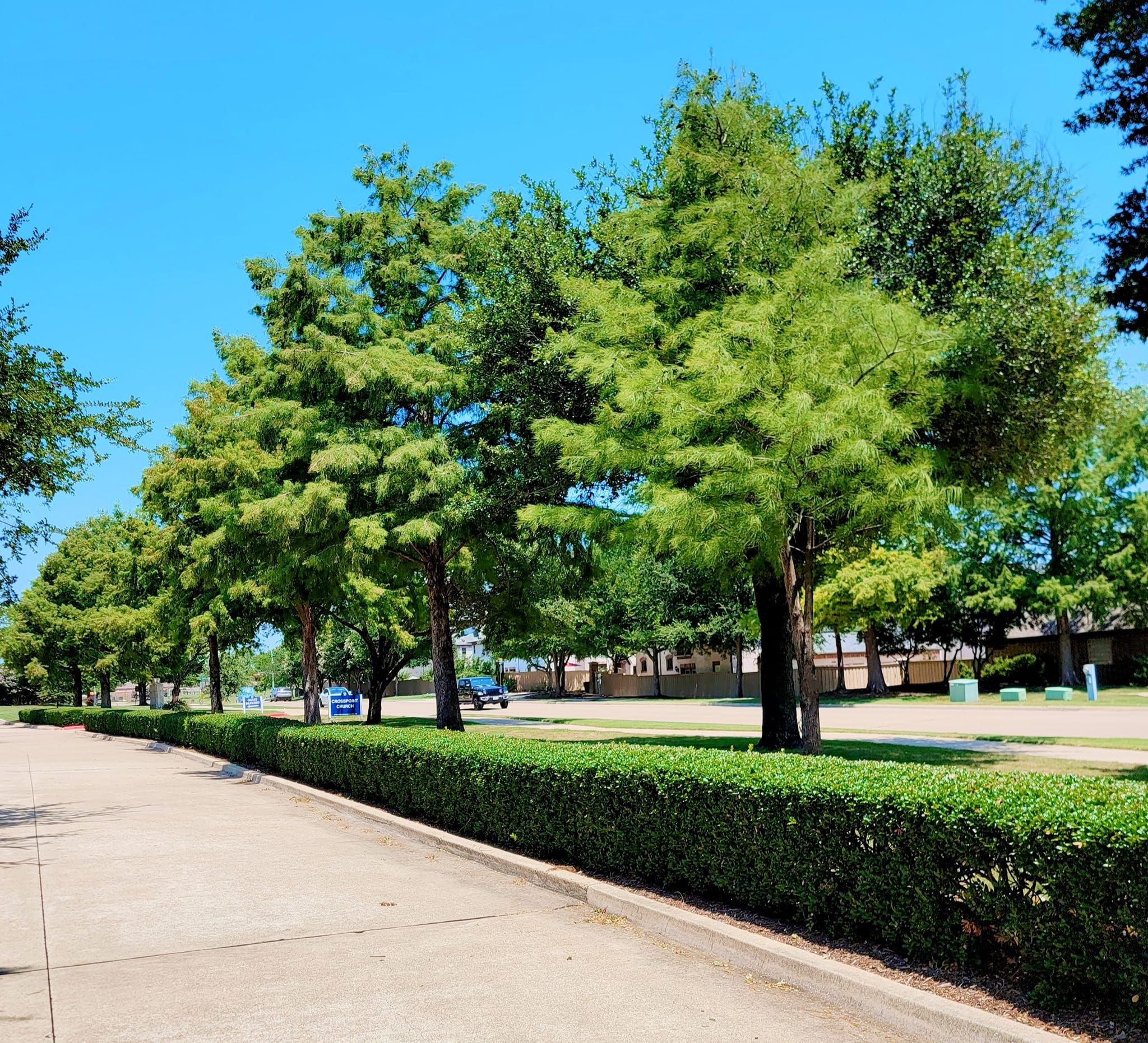  for RACSO RDZ LLC in McKinney, TX
