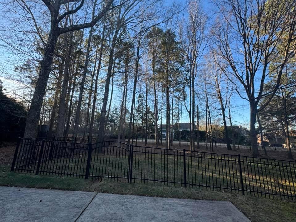  for Pedro's Tree Removal in Charlotte, NC