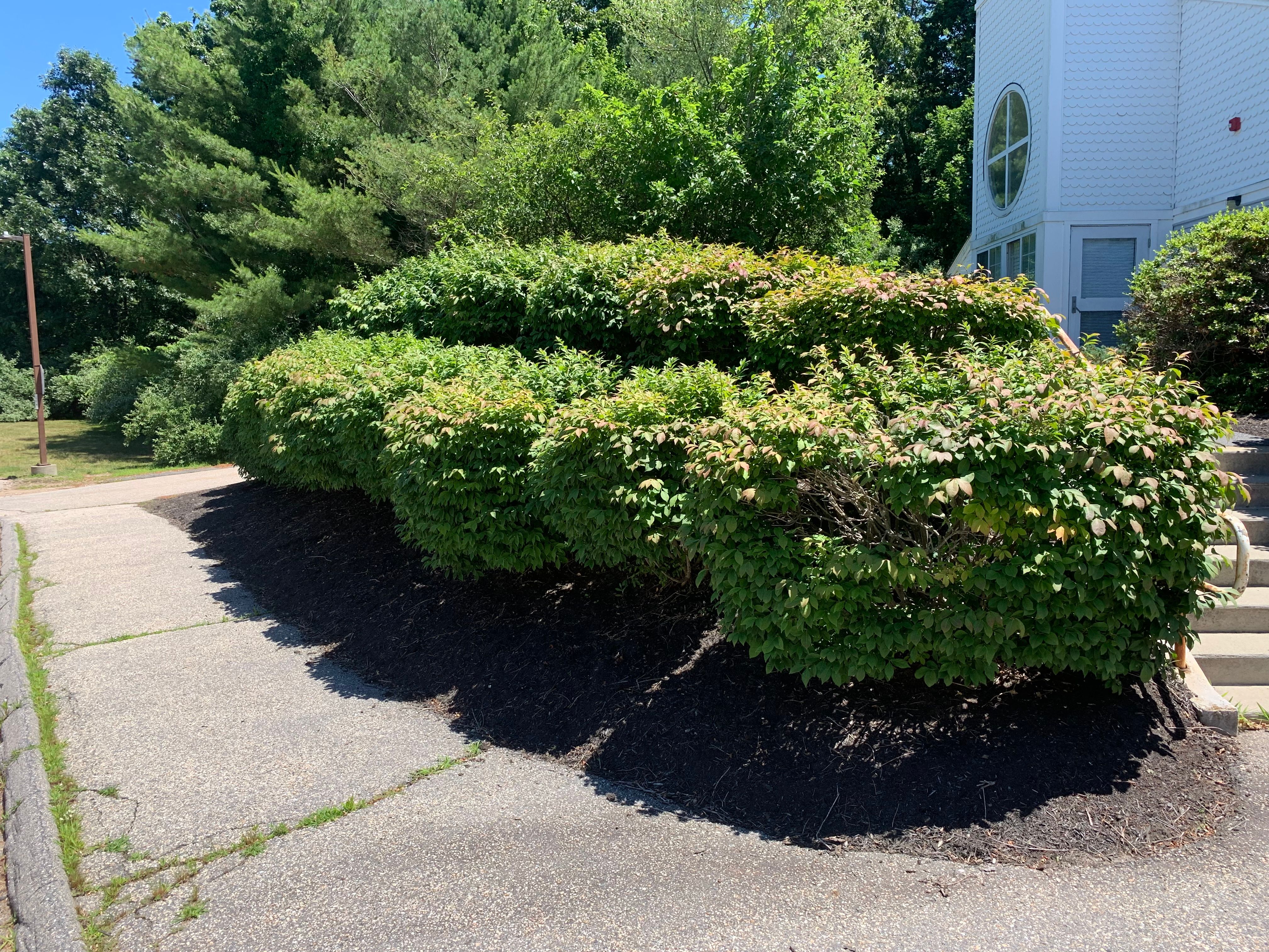  for Murray Mowing and More in Ashaway, RI