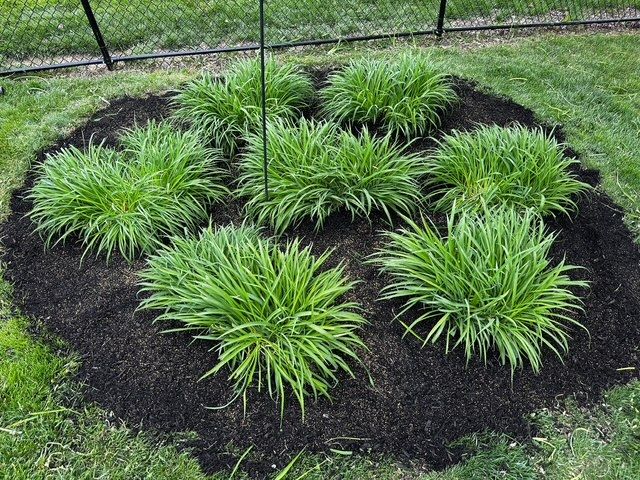 All Photos for A&H Property Solutions LLC in Florence, KY