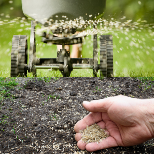 All Photos for 4 Points Lawncare LLC in Hayes, VA