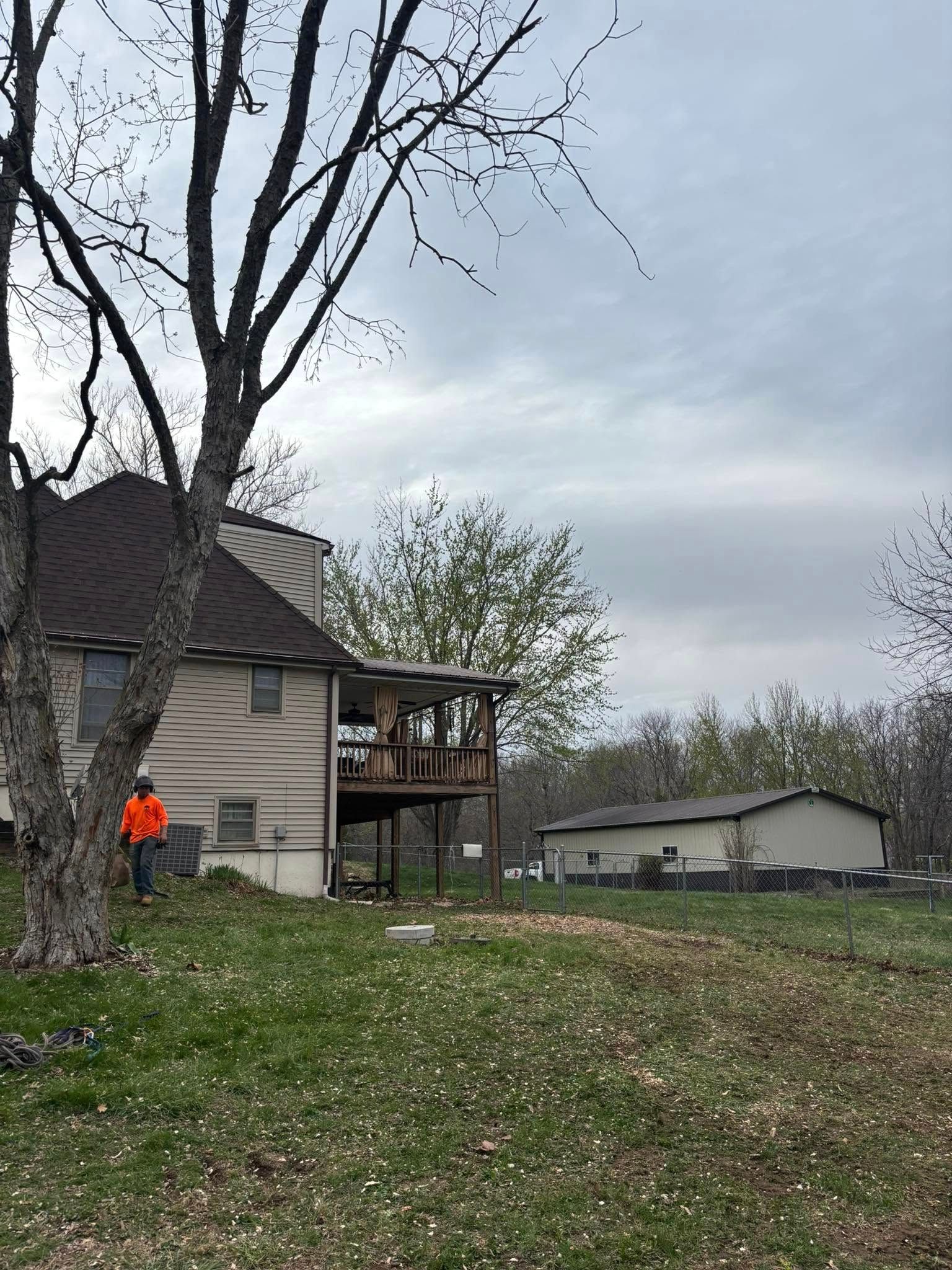 Tree Removal for Cross Family Tree Service in Kearney, MO