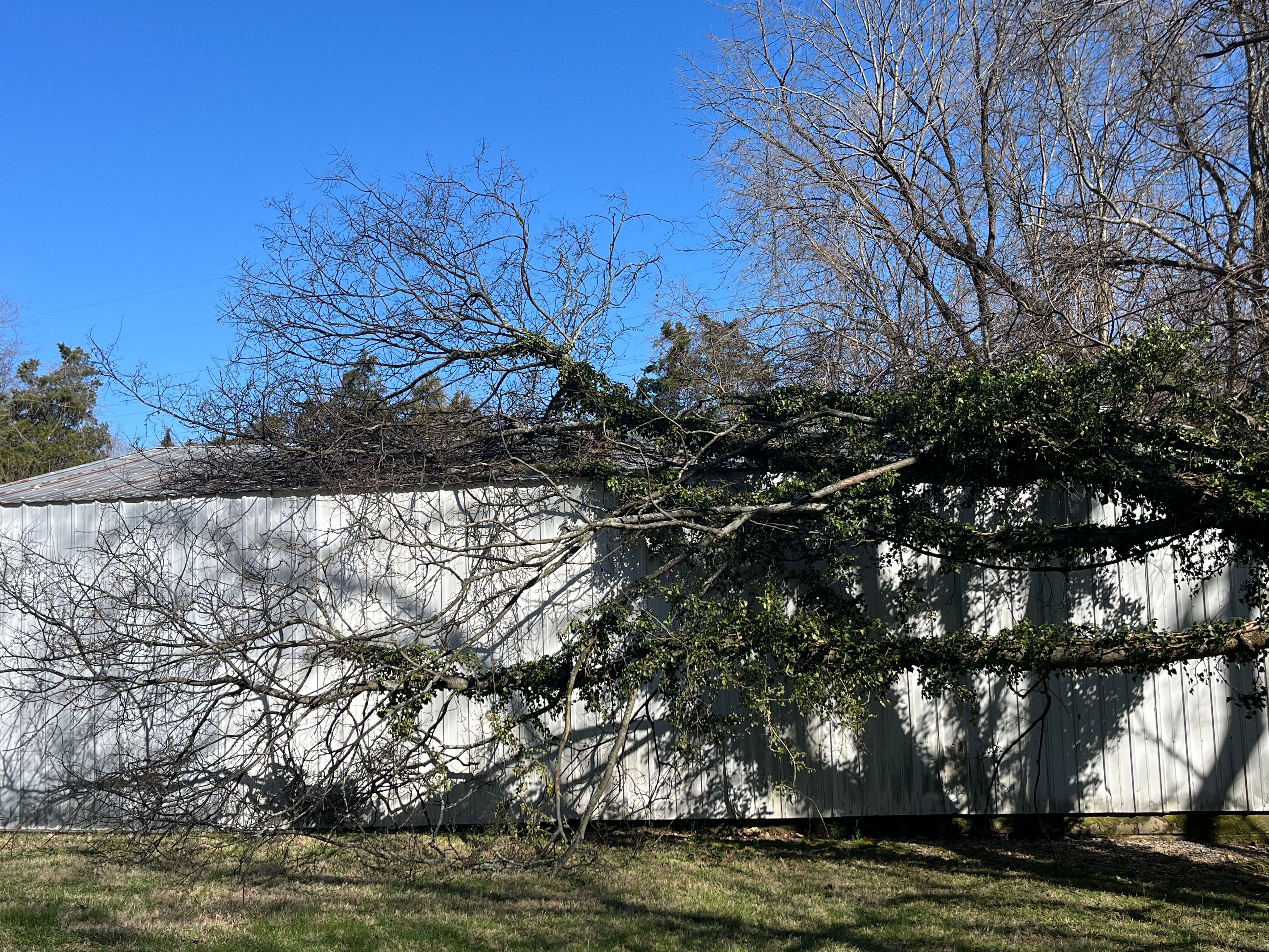 All Photos for Real Deal Lawn Care in Goodlettsville, TN