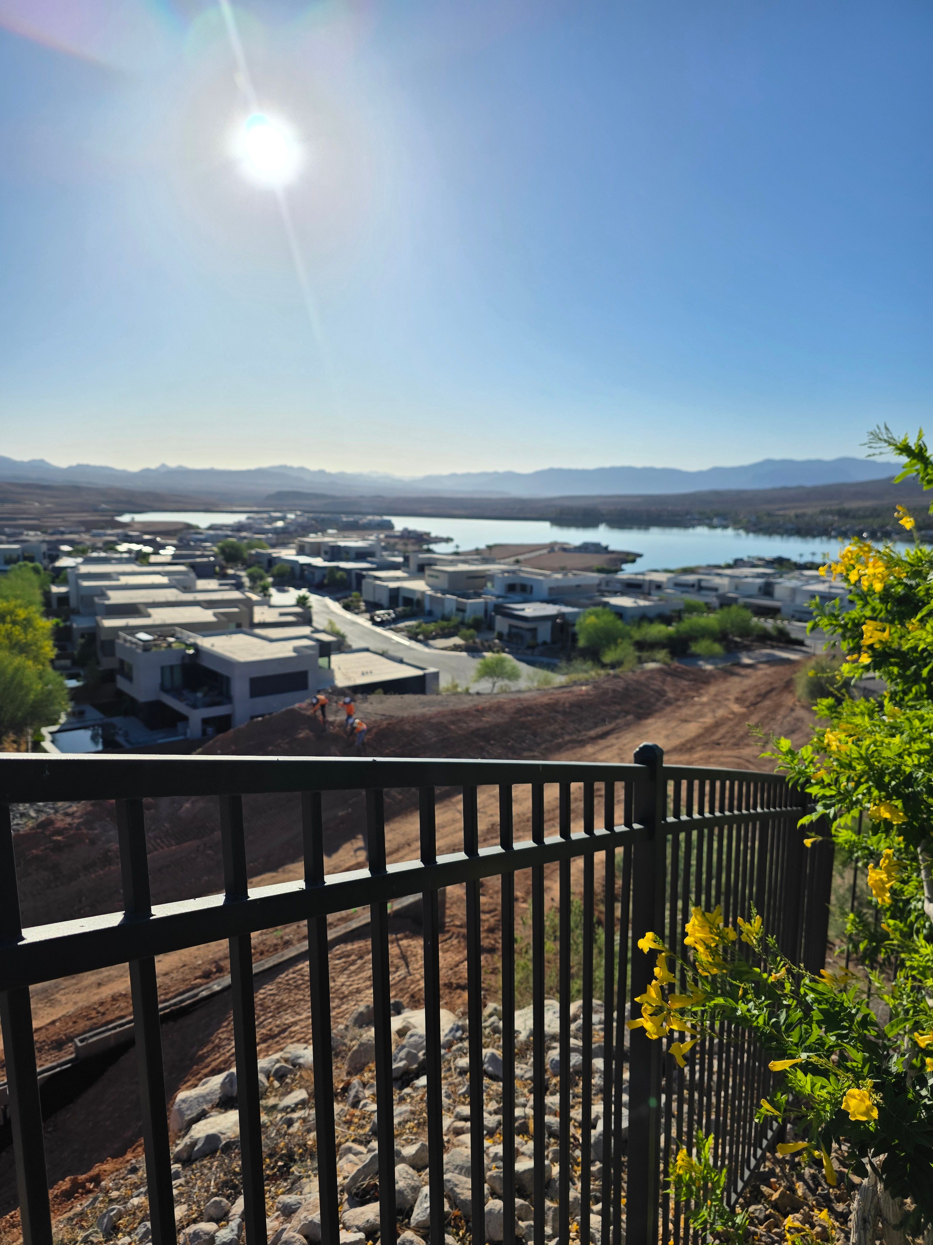  for Niko's Pest Control in Las Vegas, NV