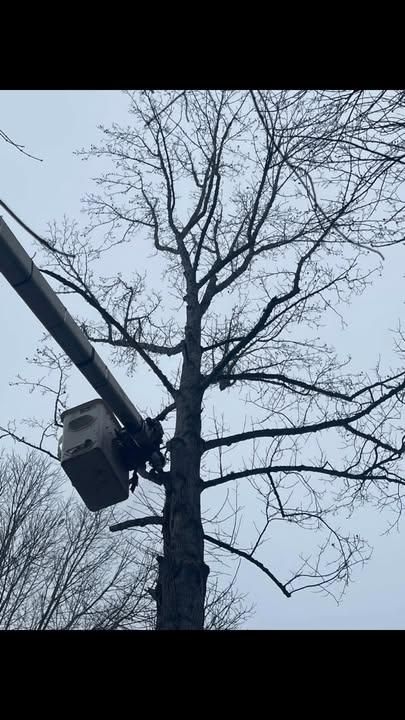  for Down South Tree Care and Landscaping in Maiden, NC