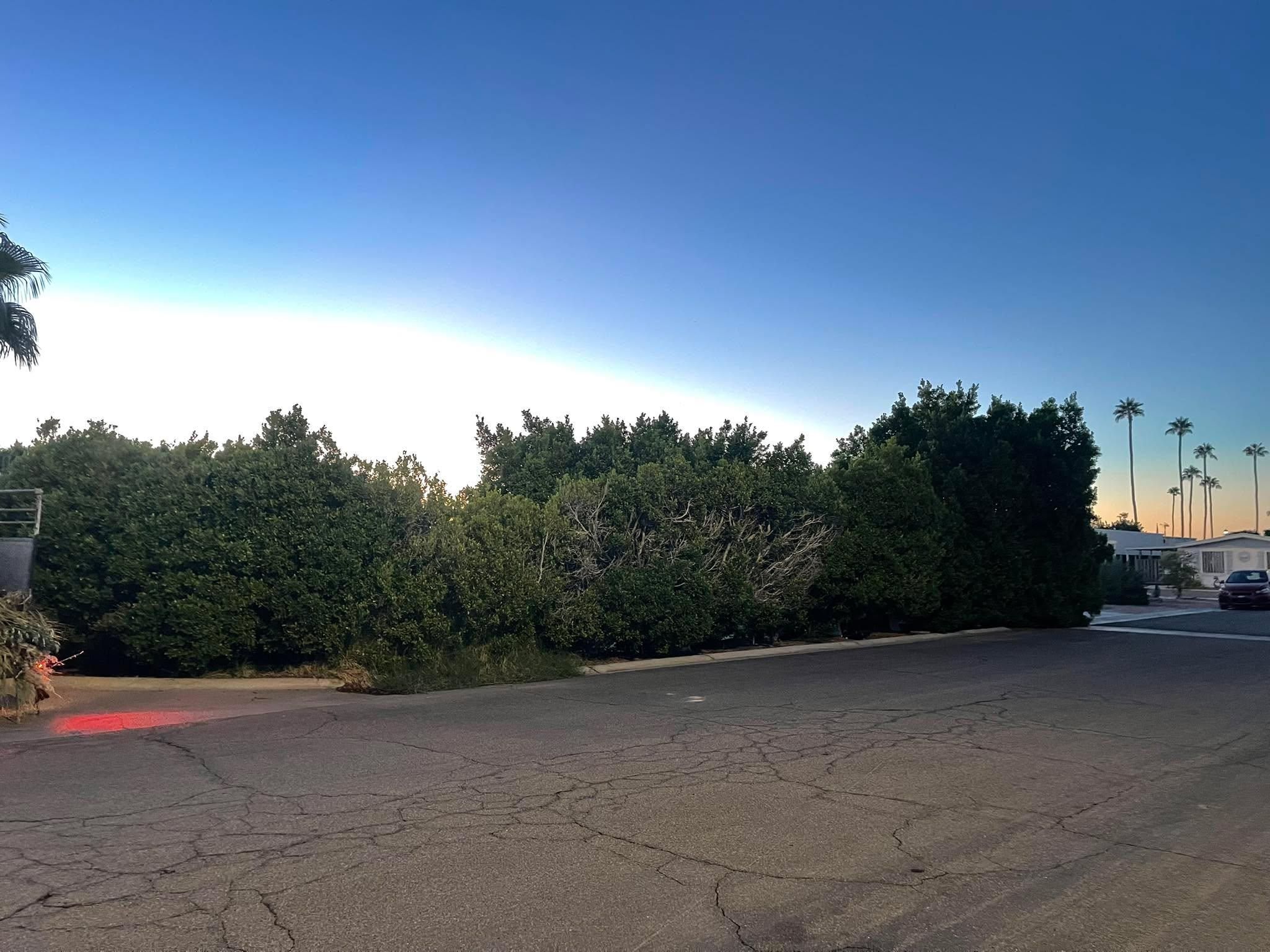  for Oliver L. Palm & Tree services in Yuma County, AZ