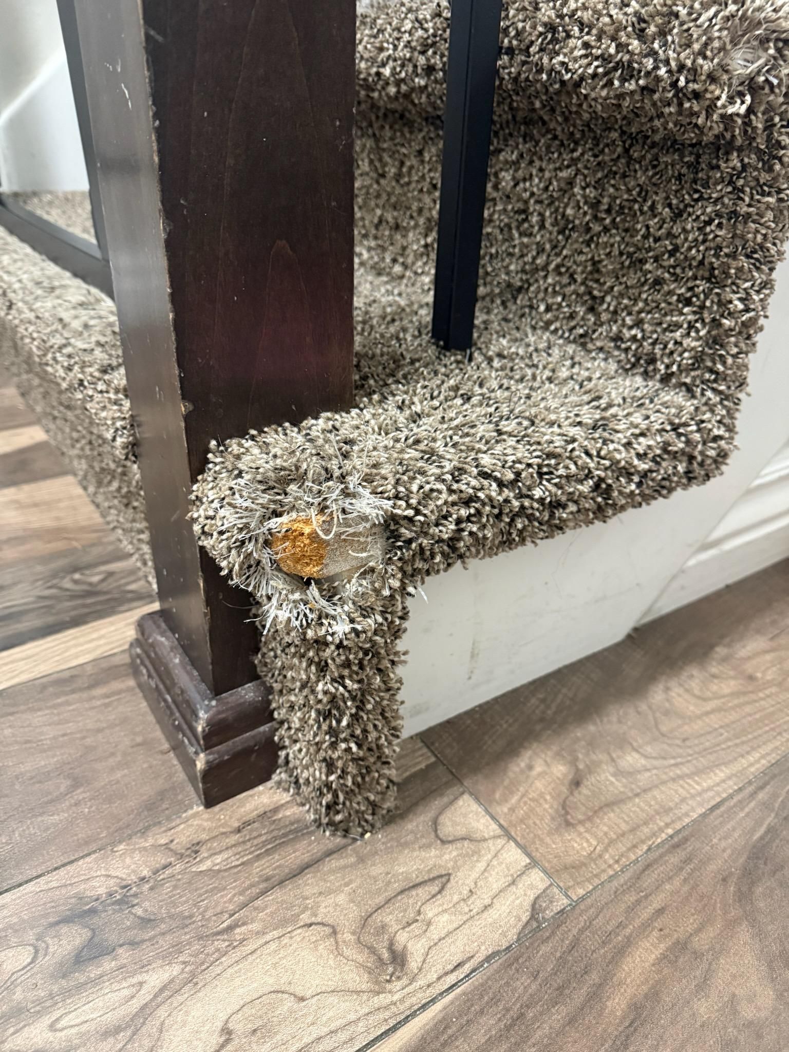  for All About Flooring Utah in Salt Lake City, UT