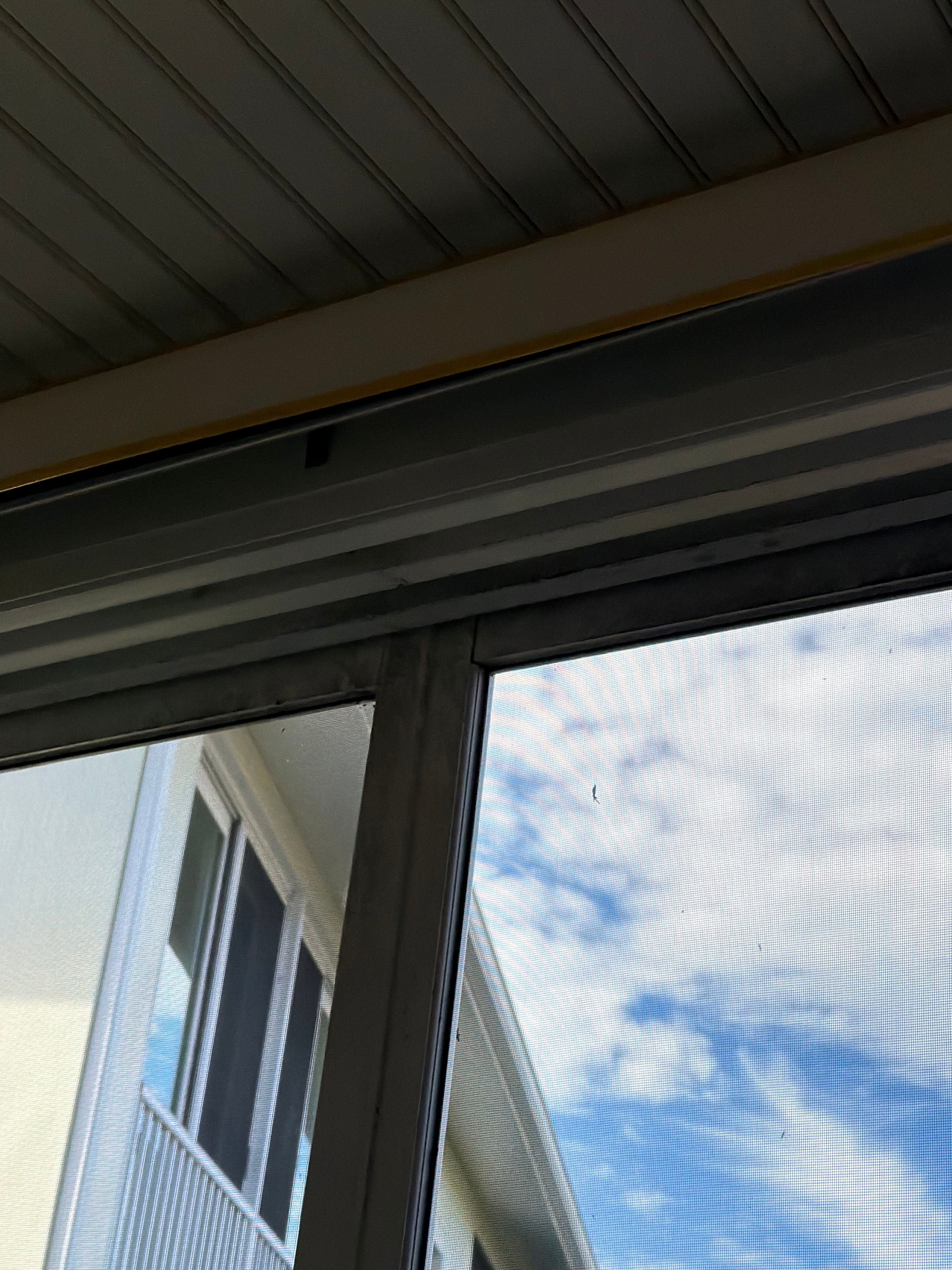  for My Window Guys in Venice, FL