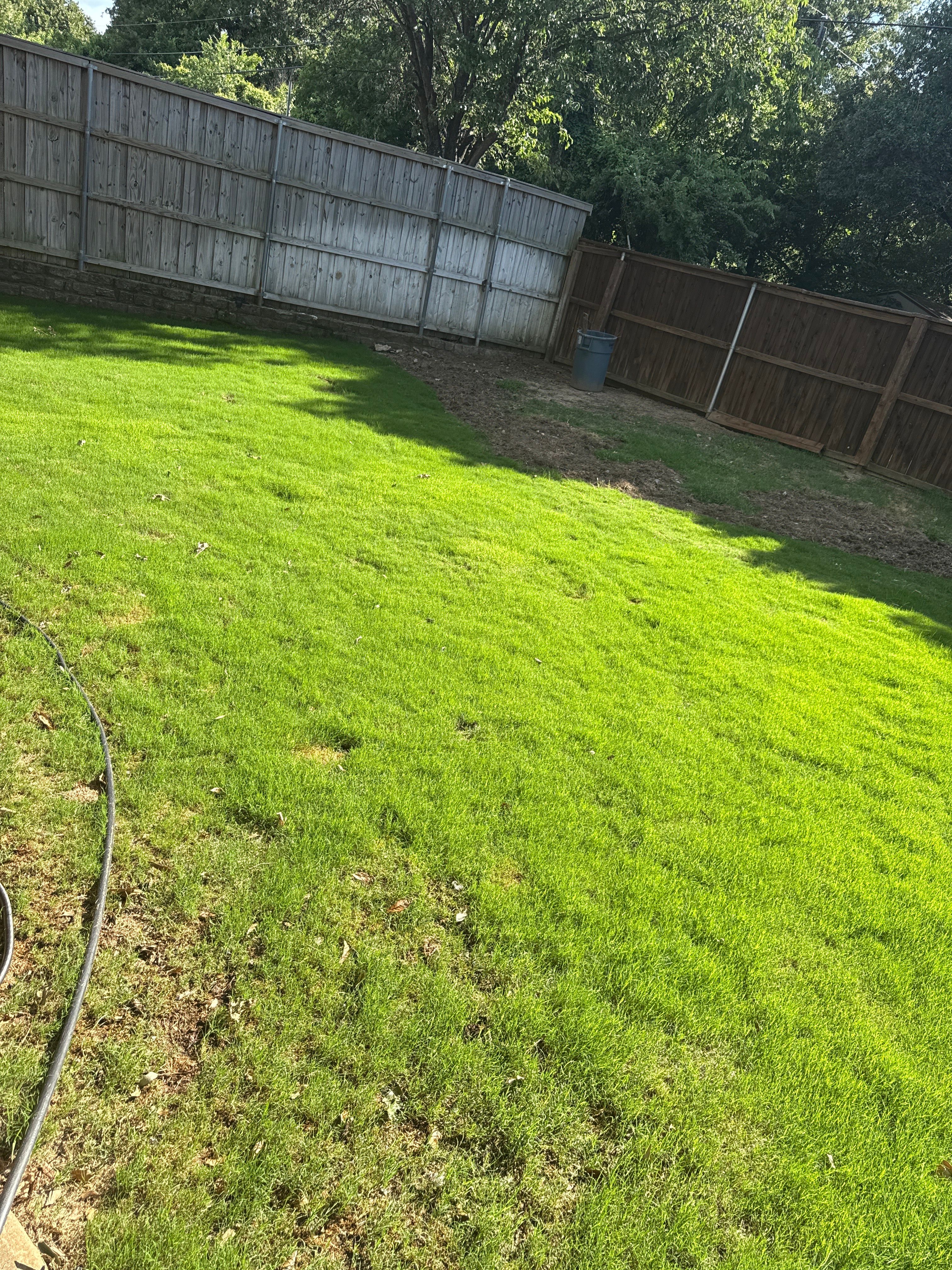 Artificail Turf and Outdoor Services for Light It Up AV and Turf in Keller, TX