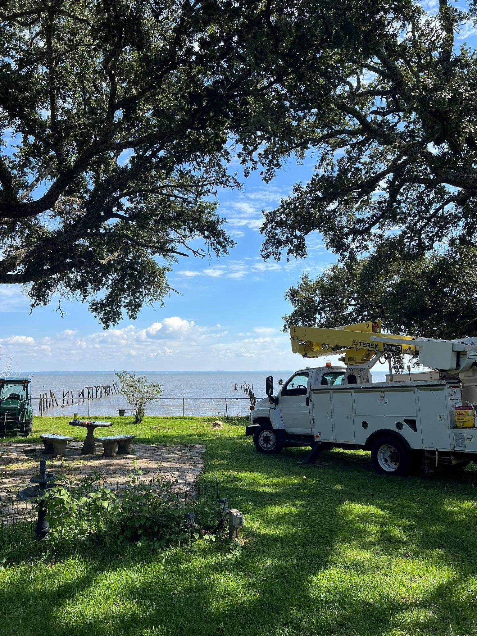  for Southern Venom Services in Daphne, AL