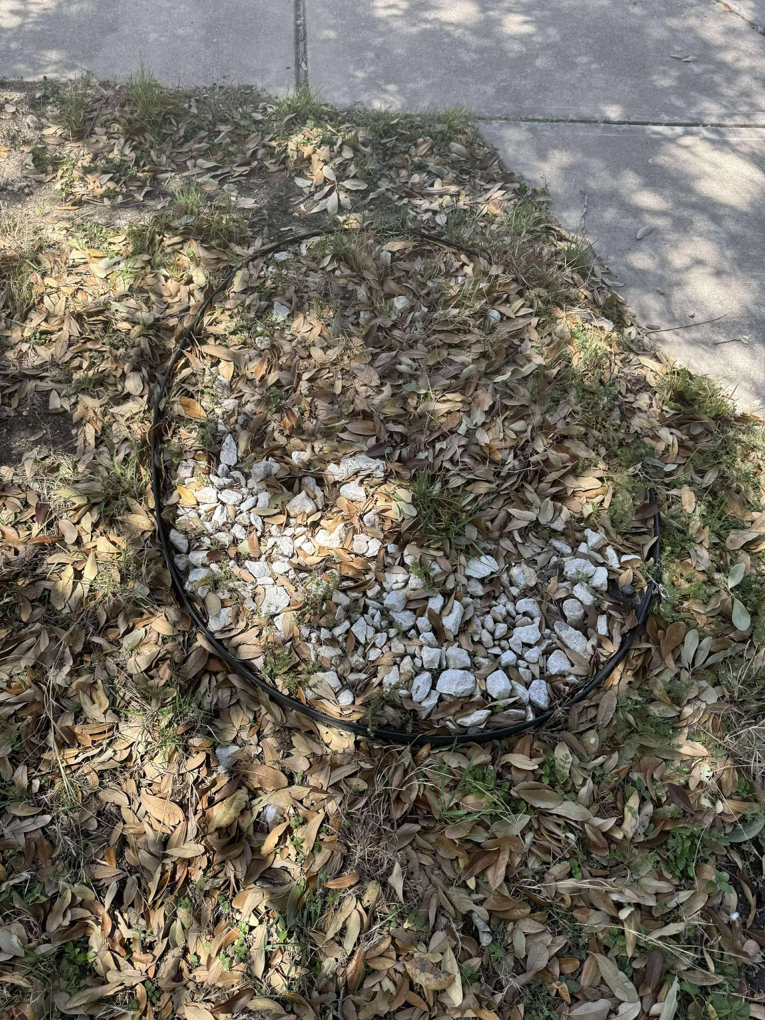 All Photos for Fresh Yards Landscaping in Austin, Texas