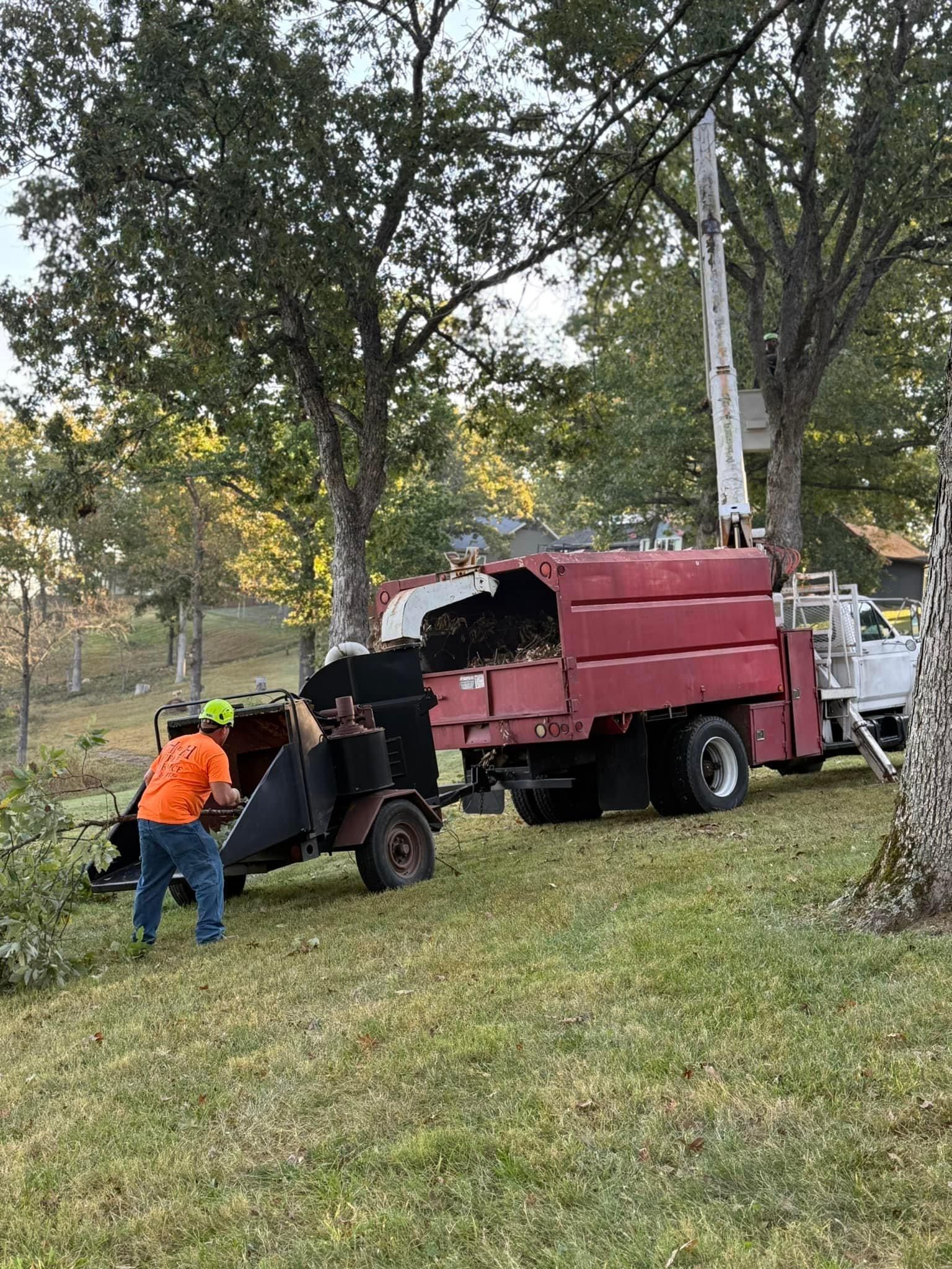  for H n H Tree Service in Taneyville, MO