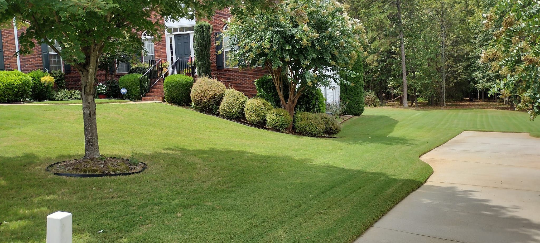  for Palmetto Cuts Lawn Care LLC in Simpsonville, SC