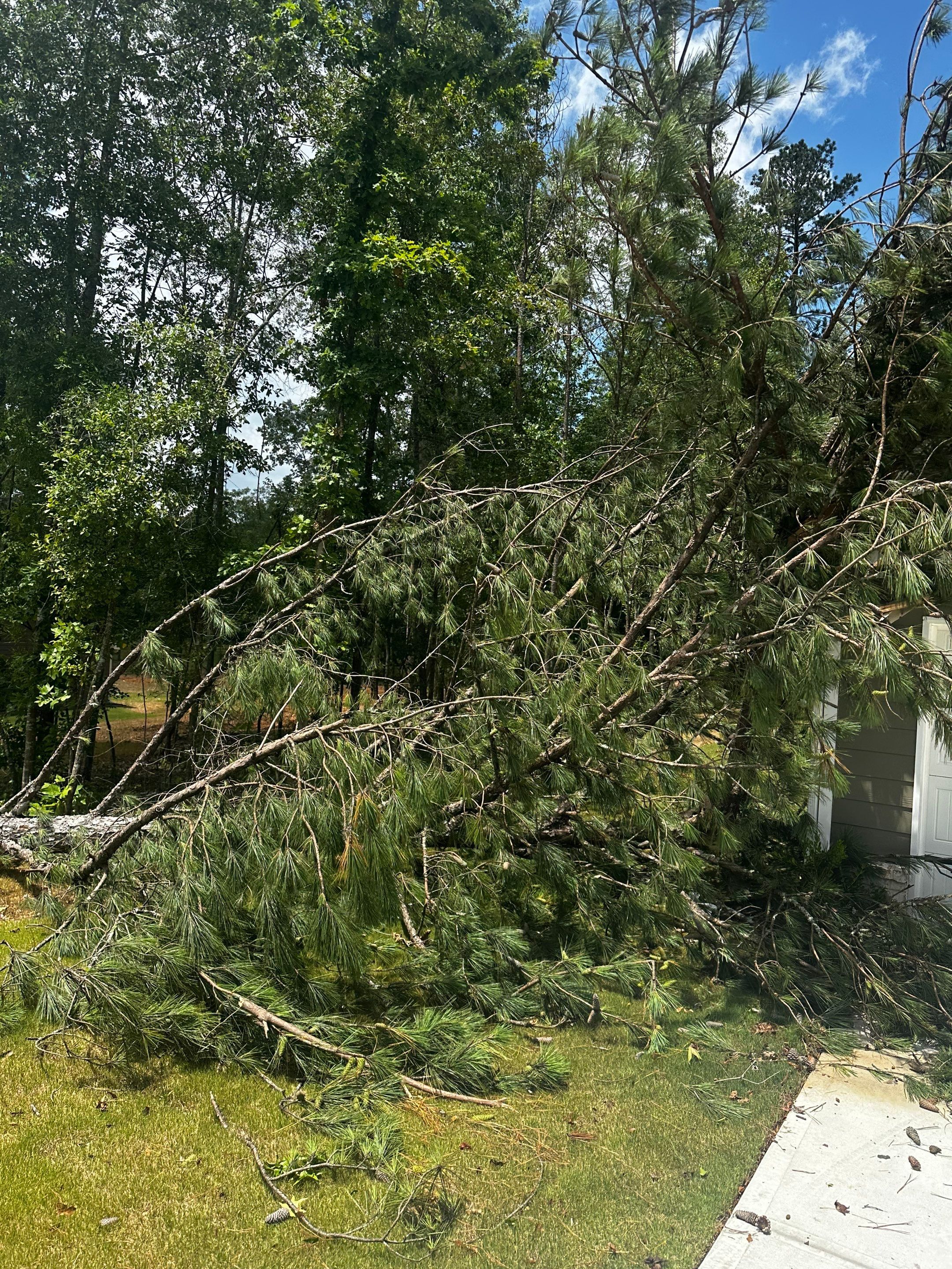  for Bulldawg Disaster Response in Atlanta, GA