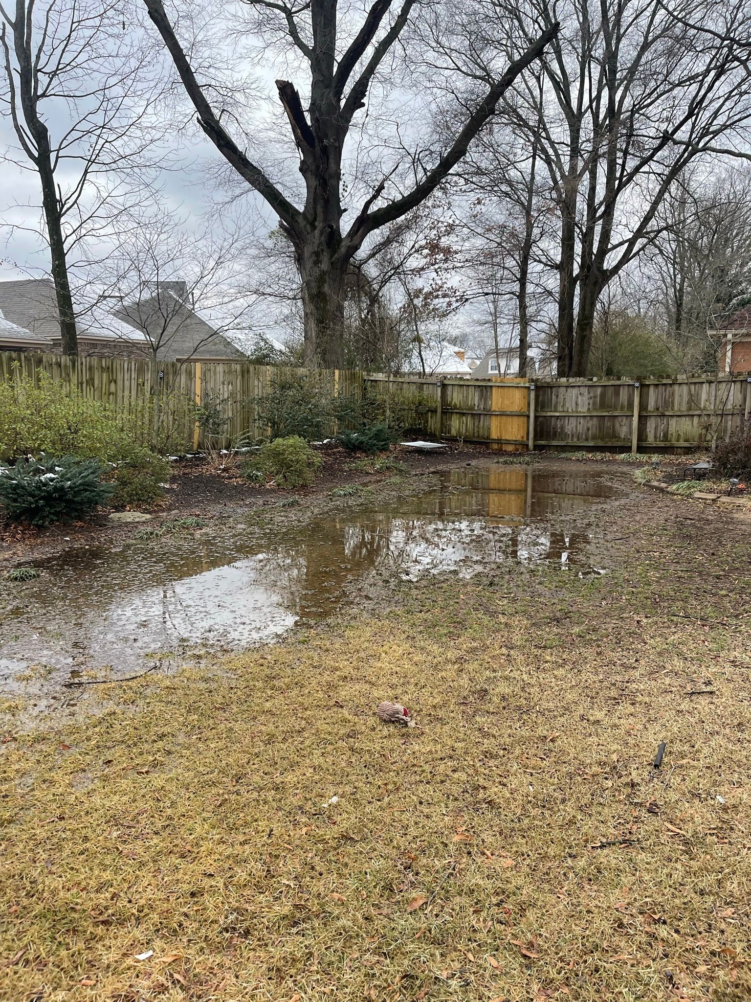 Scnider Drainage & Landscape  for Emory's Garden Landscape Emporium in Memphis,  TN