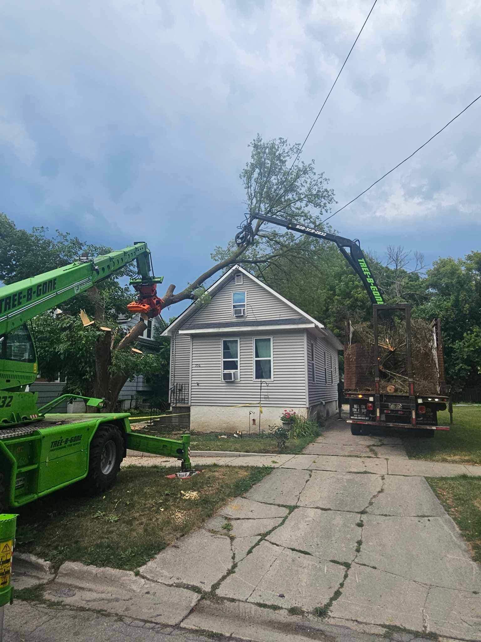 Tree Removal for Tree-B-Gone in Shawano, WI