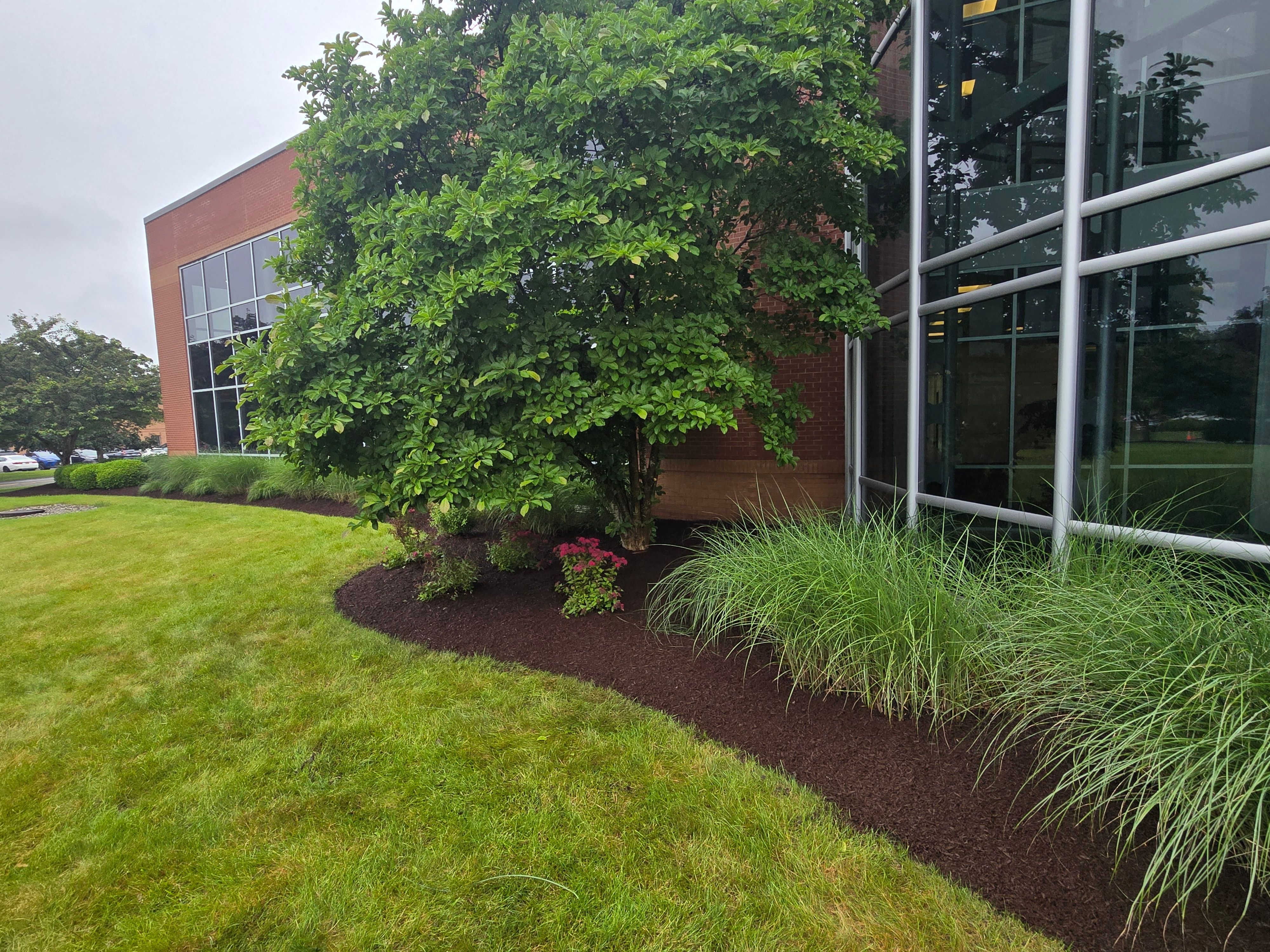  for Fancher's Lawns & Landscaping LLC in Schoharie County, NY