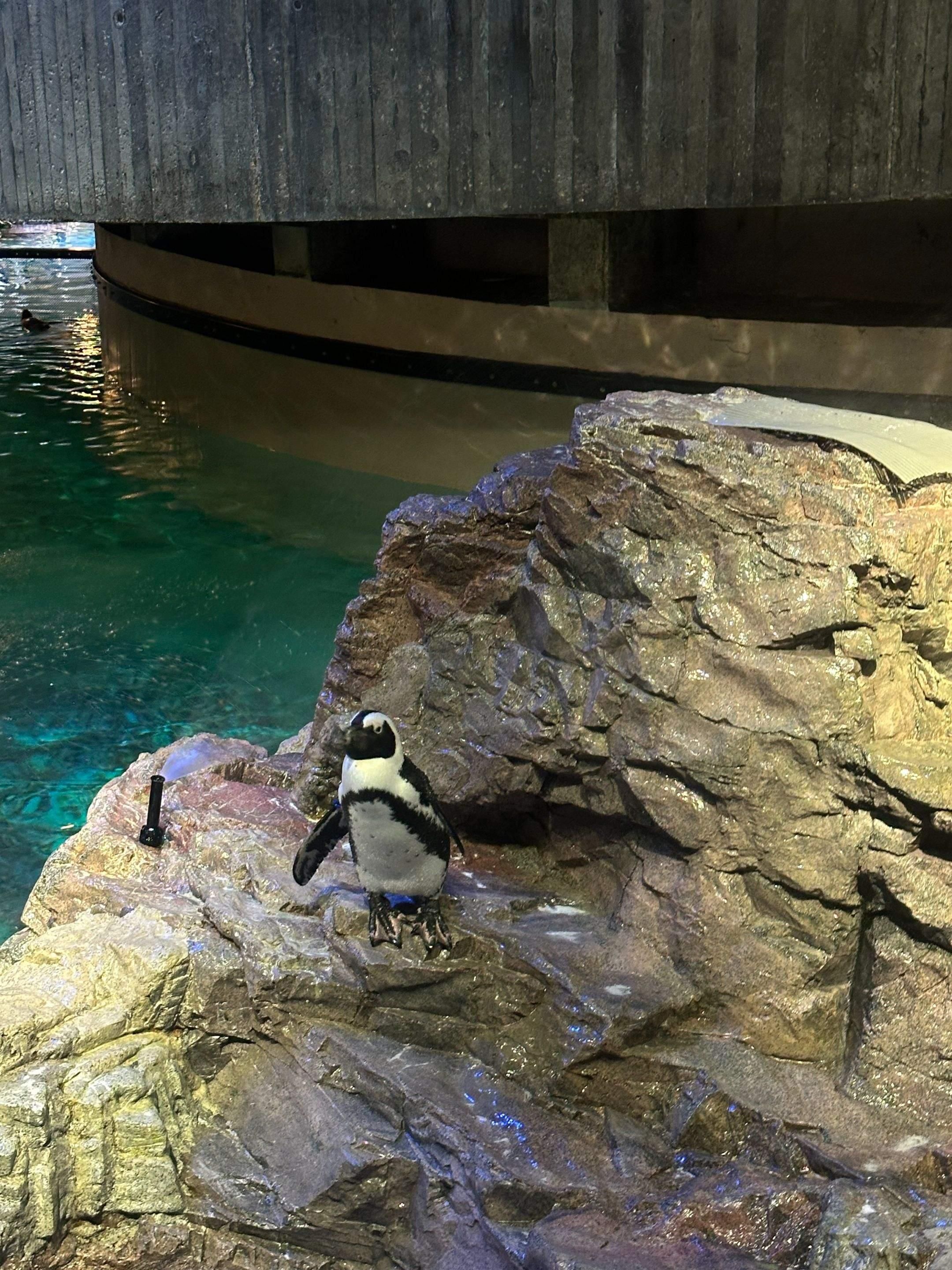  for Gallagher's Plastering in Mississauga, ON