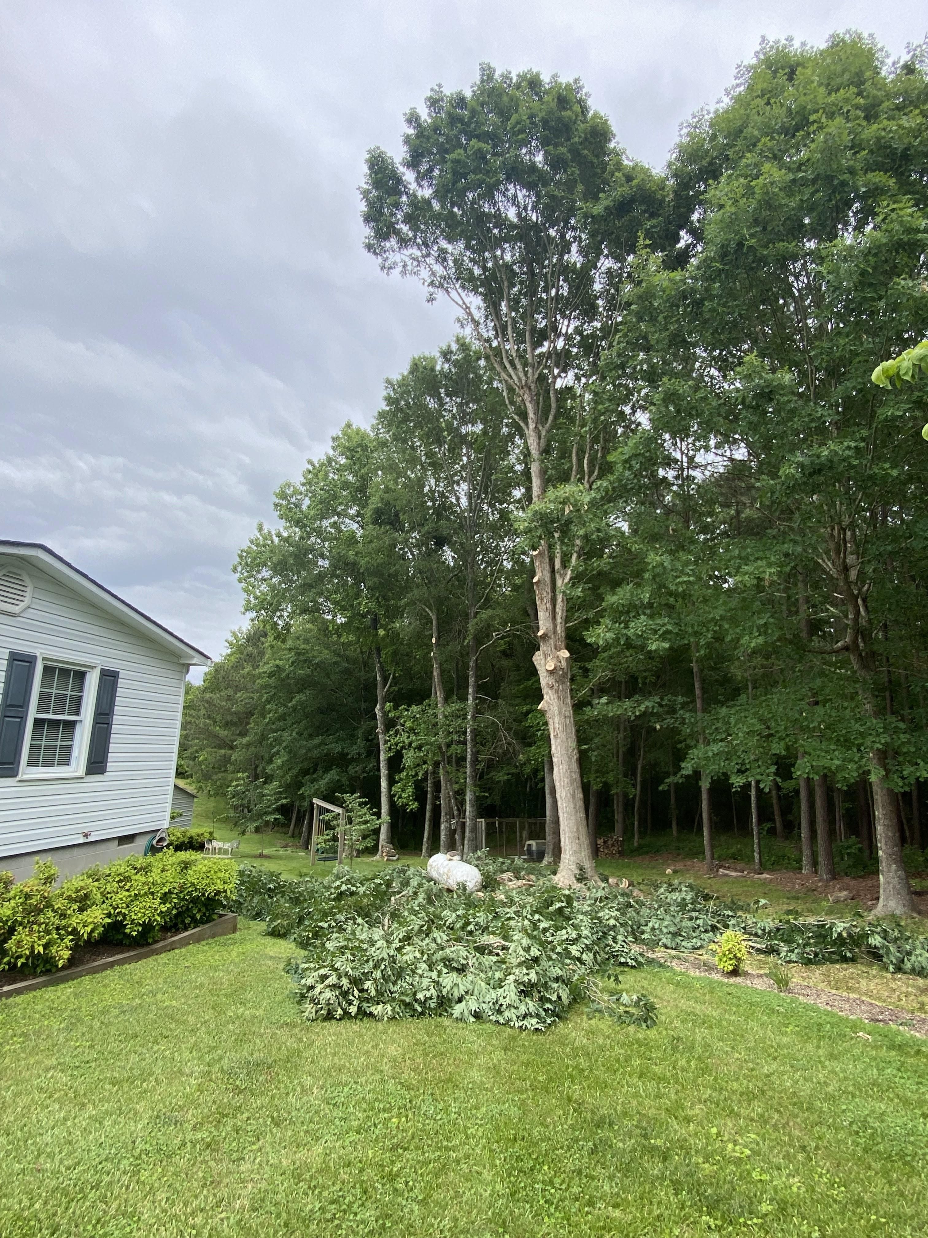  for Ascending Tree Service LLC in Kenbridge, VA