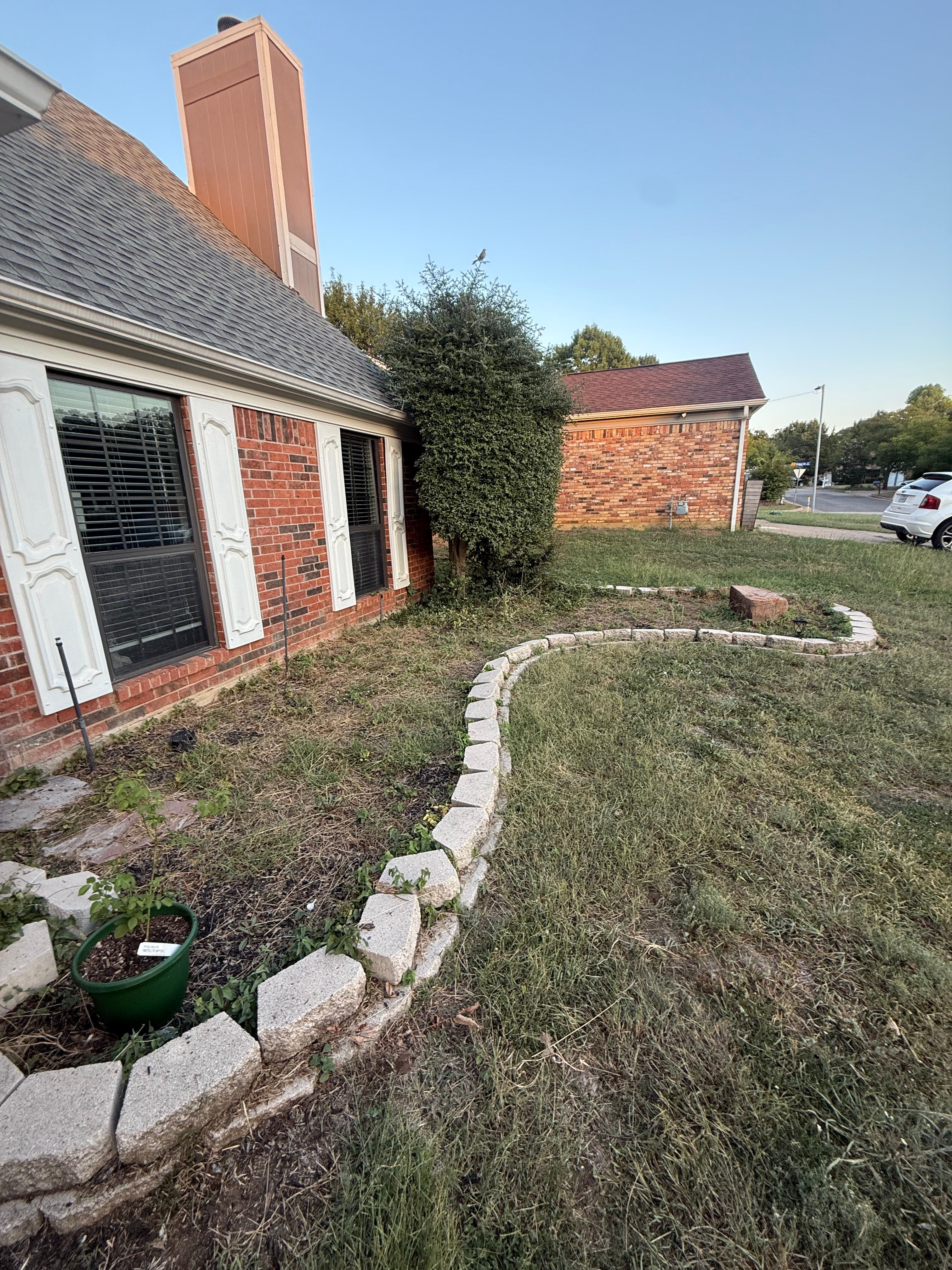 All Photos for Blu-J Tree Care in Arlington, TX