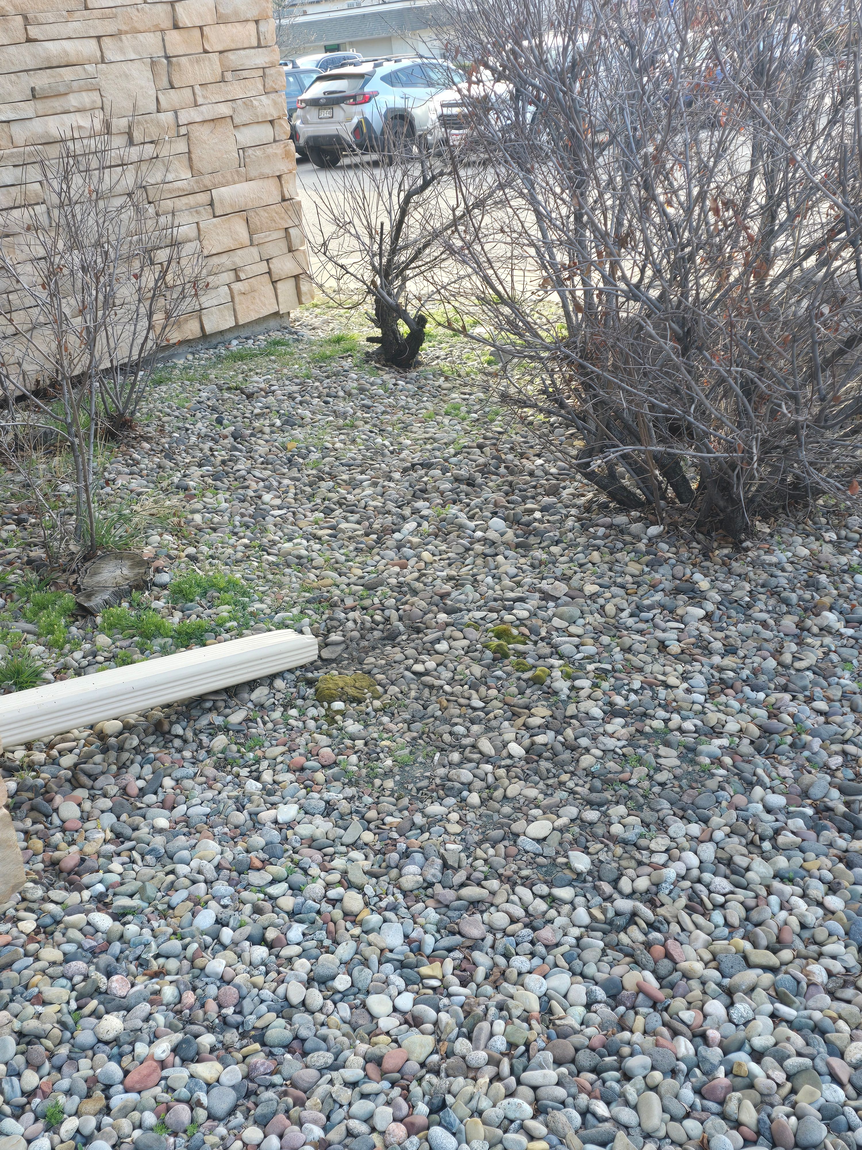 All Photos for LRS: Landscape, Rescue, Snow in Silt, CO