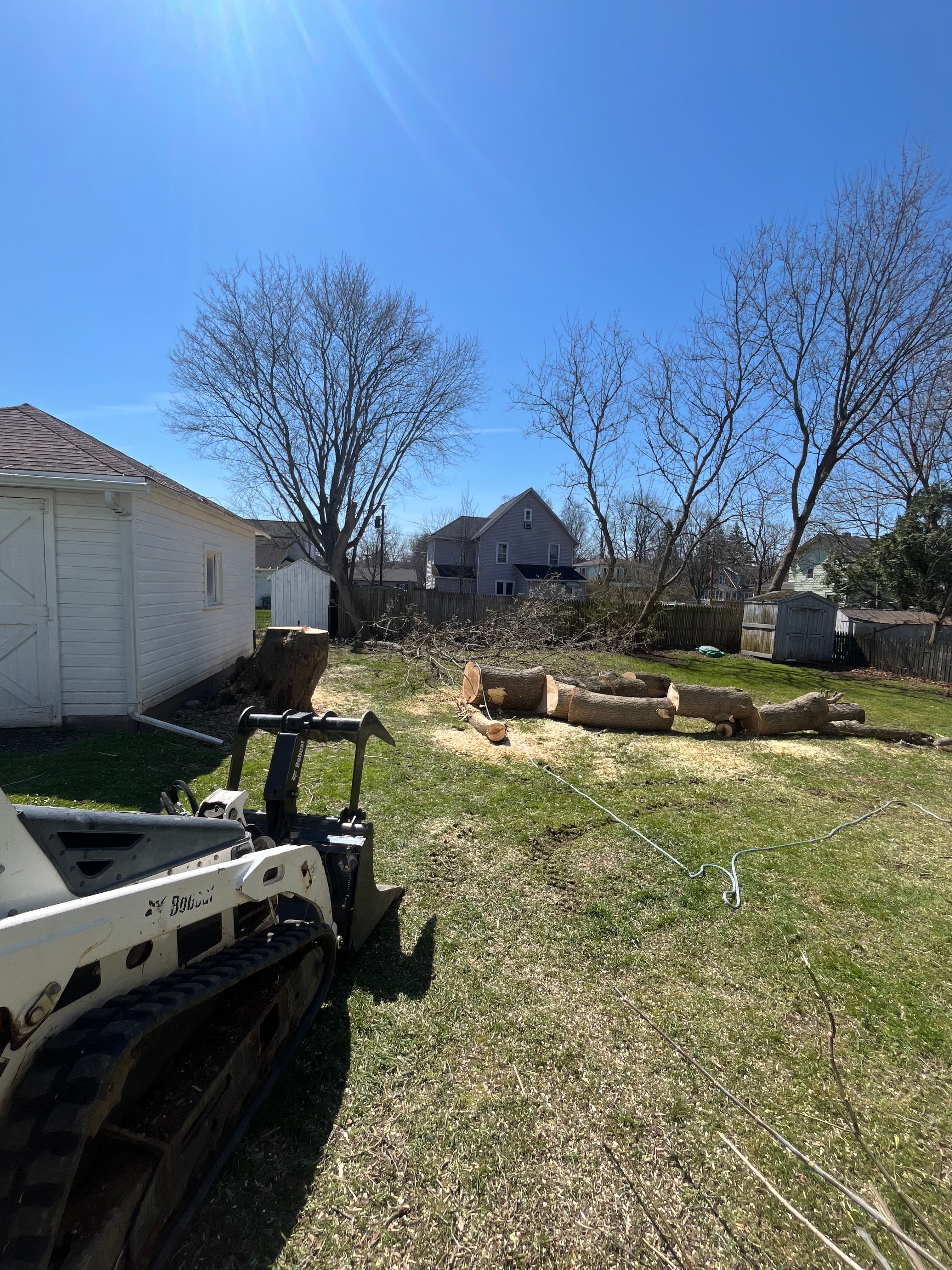 Tree Removal for Licensed to Cut Tree Service in Athens, PA