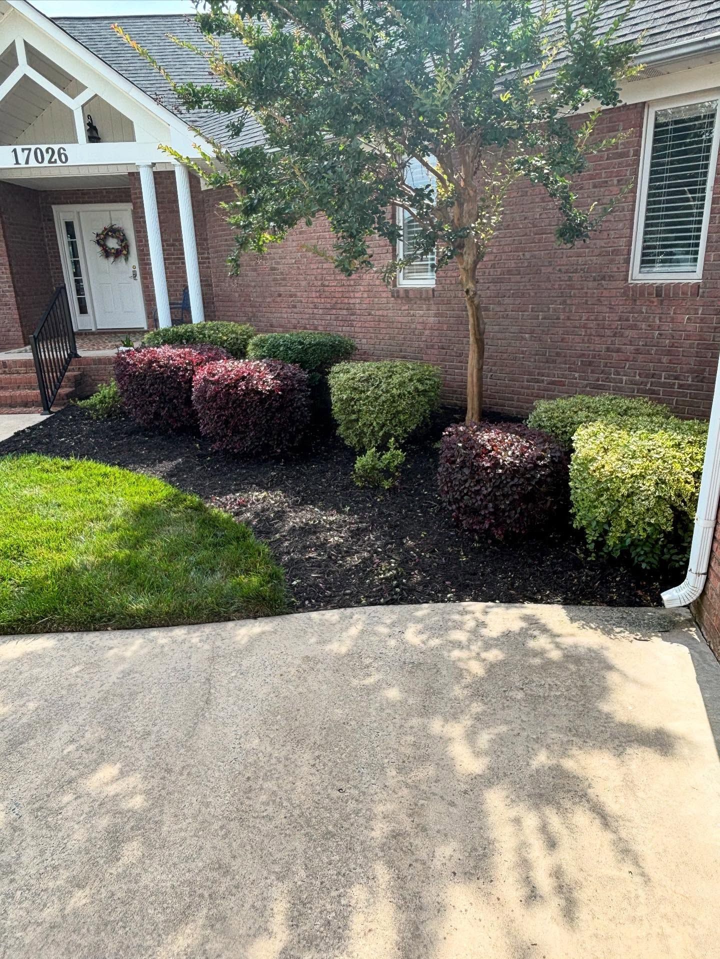 All Photos for Grandview Lawn Care in Norwood, NC