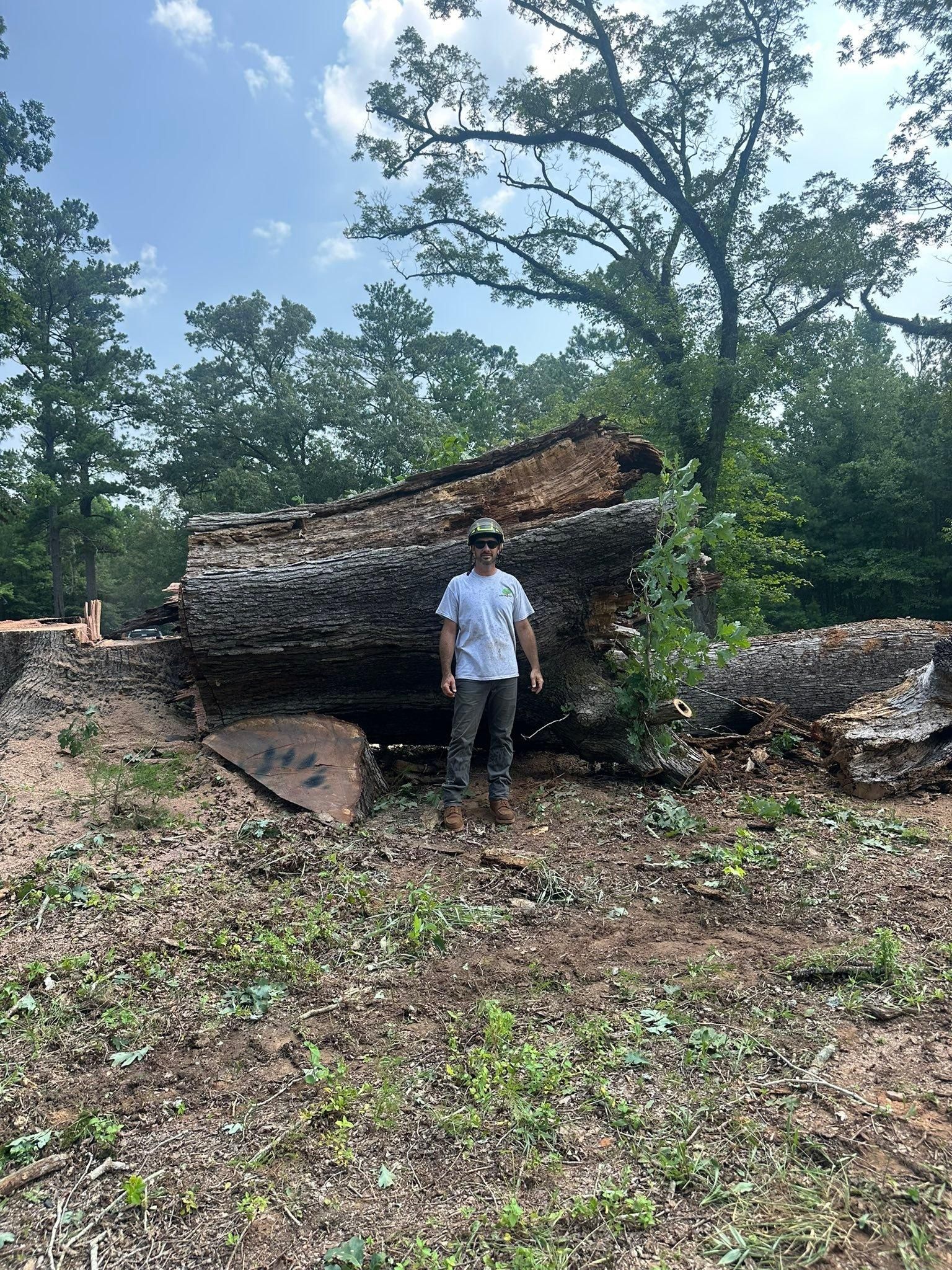 All Photos for ArborMax in Thomaston, GA