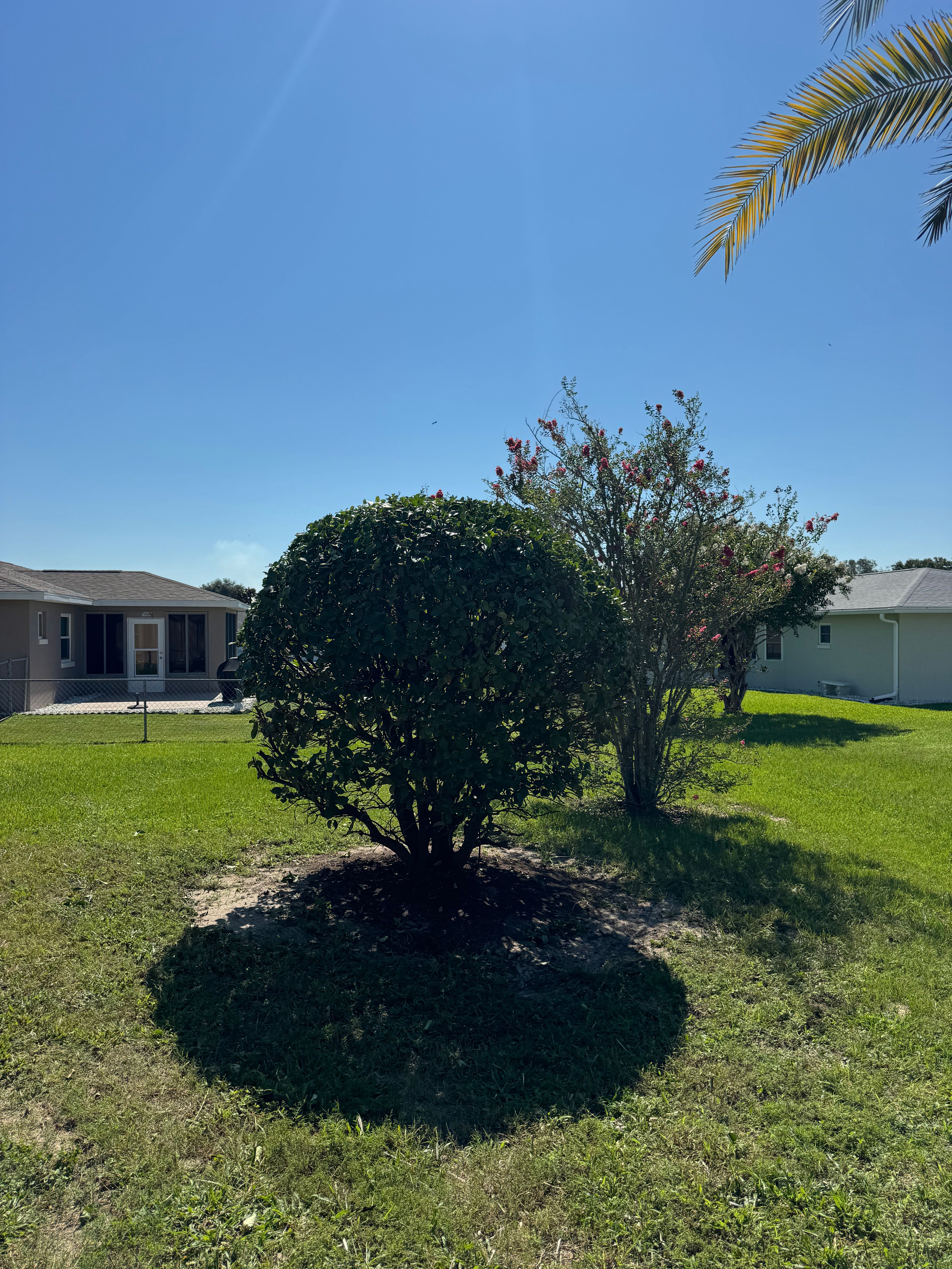 All Photos for Young's Lawn Services LLC in Ocala, FL
