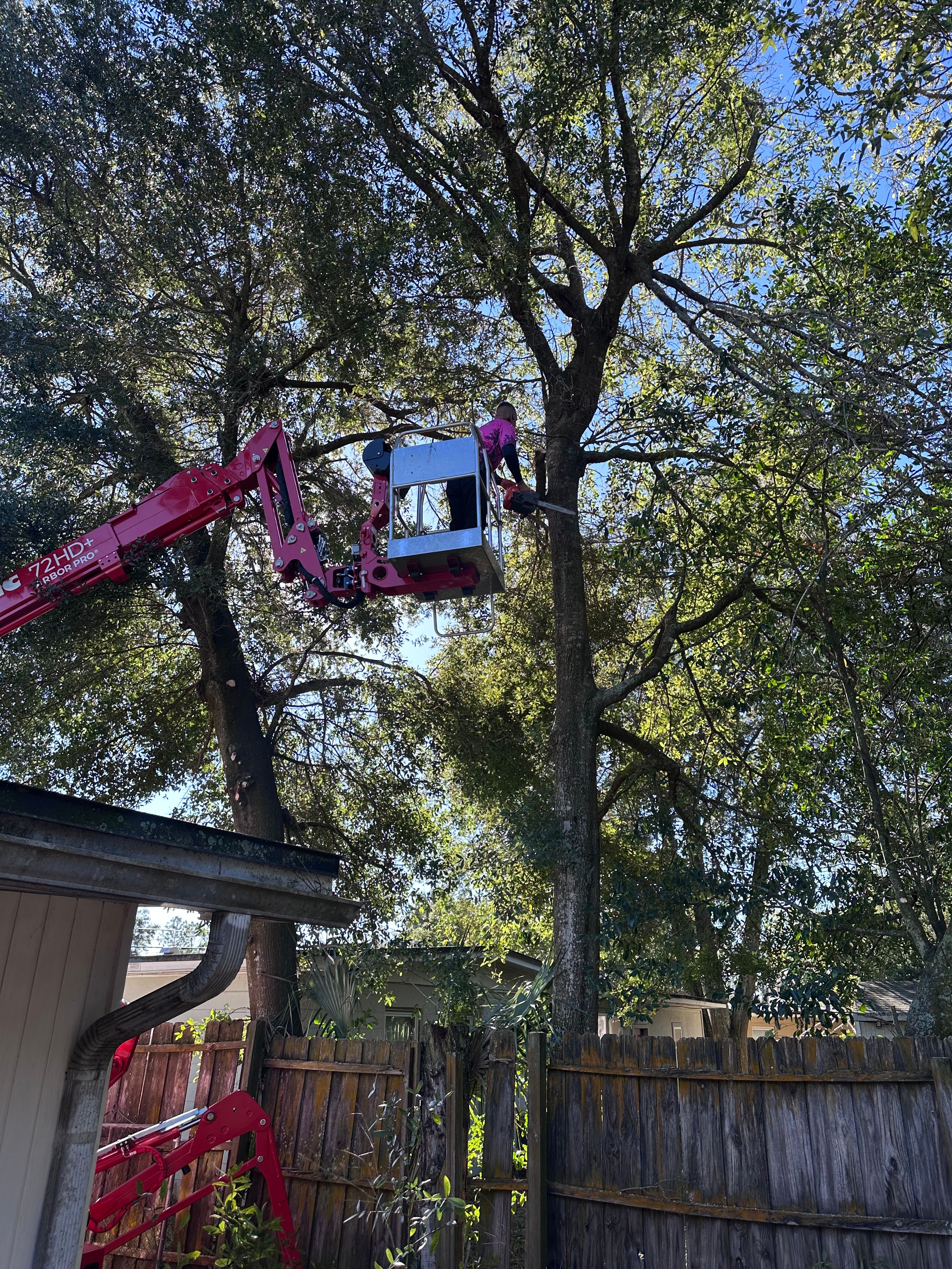  for Elite Tree & Landscape Services LLC in St. Augustine, FL