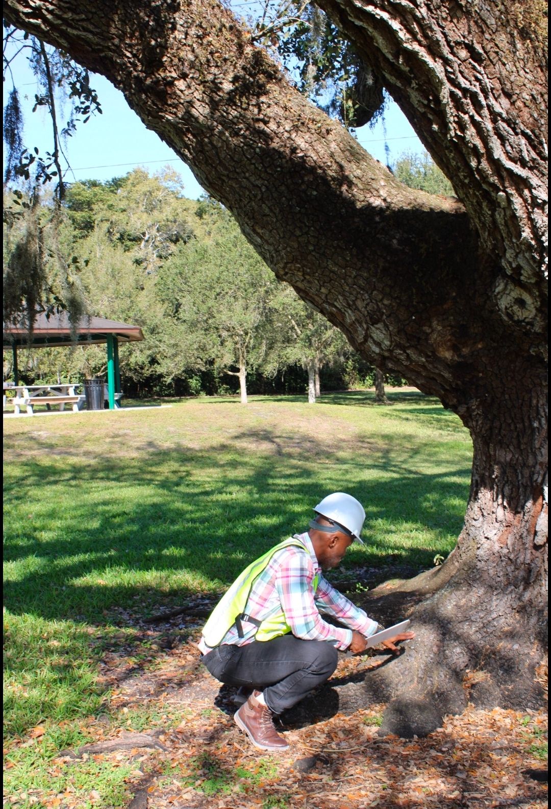  for Bridgewater Arbor Care LLC in Jupiter, FL