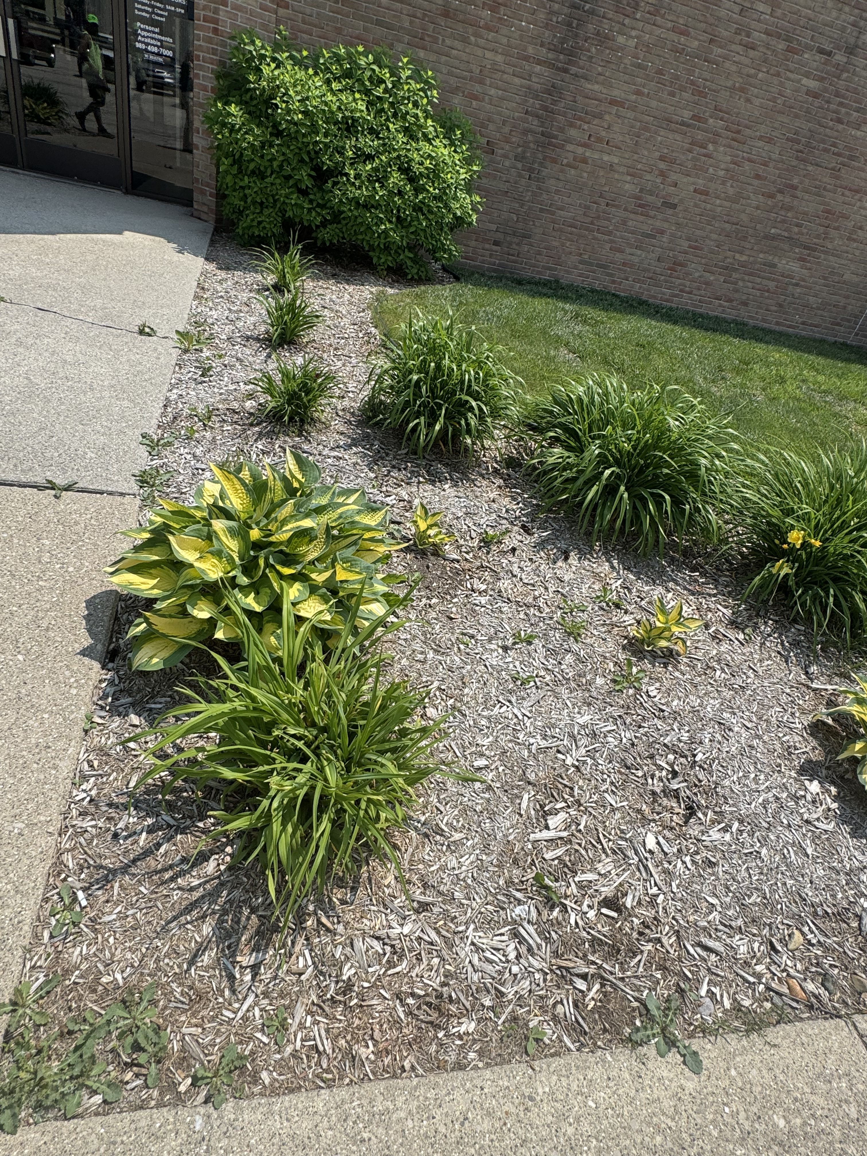  for Daugherty's Tough Lawn Care in Essexville, MI