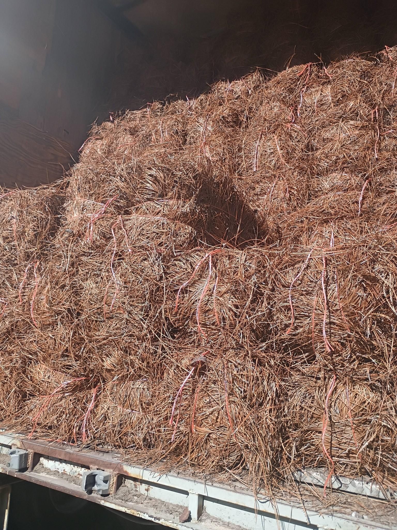 All Photos for BAM Another Pinestraw Lot in Flowery Branch, GA