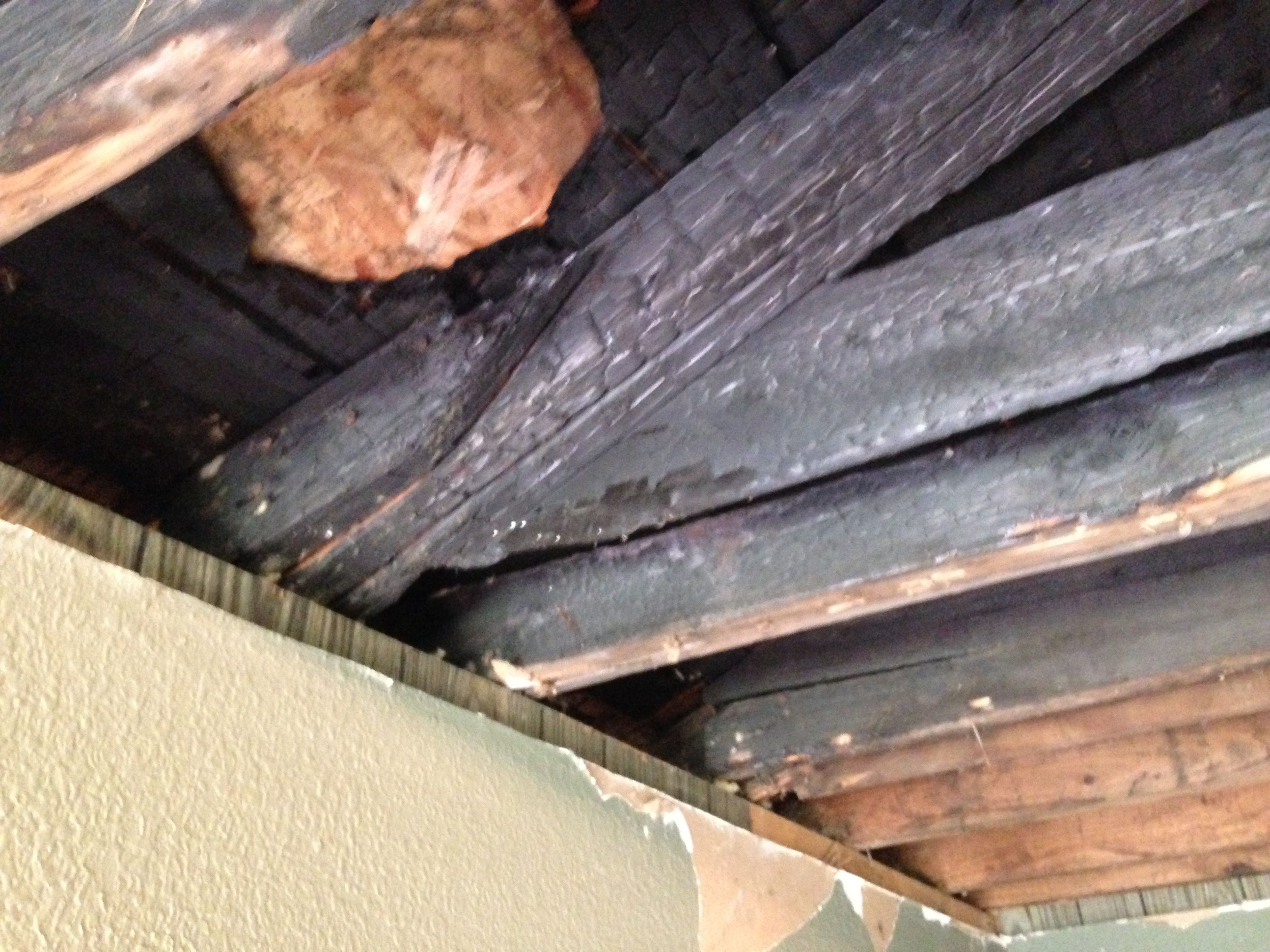 All Photos for CSI of Chicago in Chicago, IL