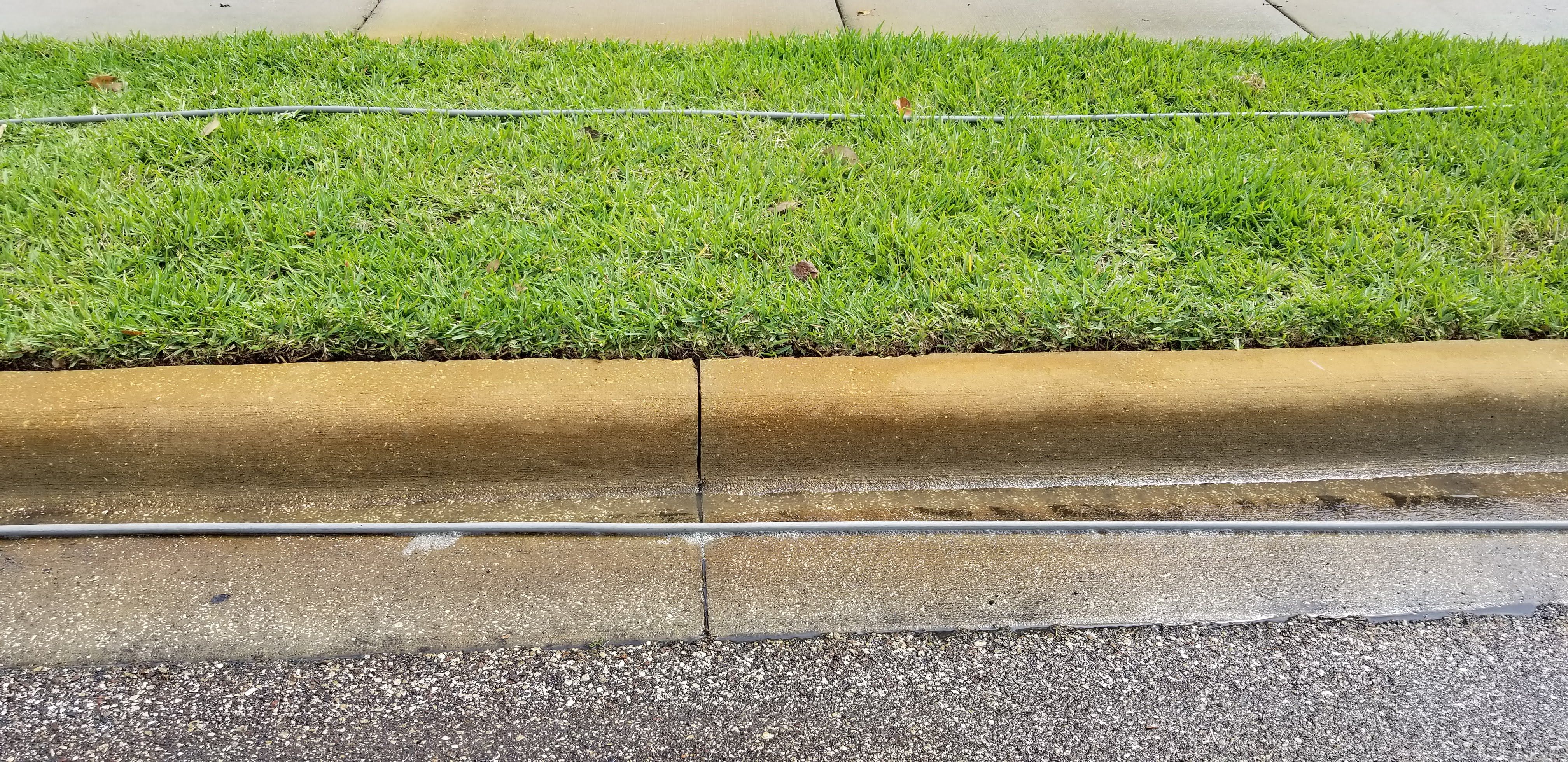  for Blue Stream Roof Cleaning & Pressure Washing in Tampa, FL