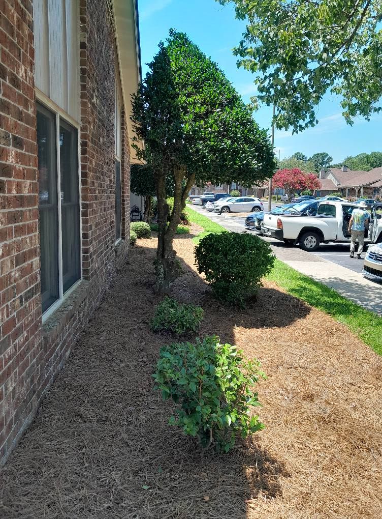  for Handy Al's Landscaping LLC in Greenville, NC