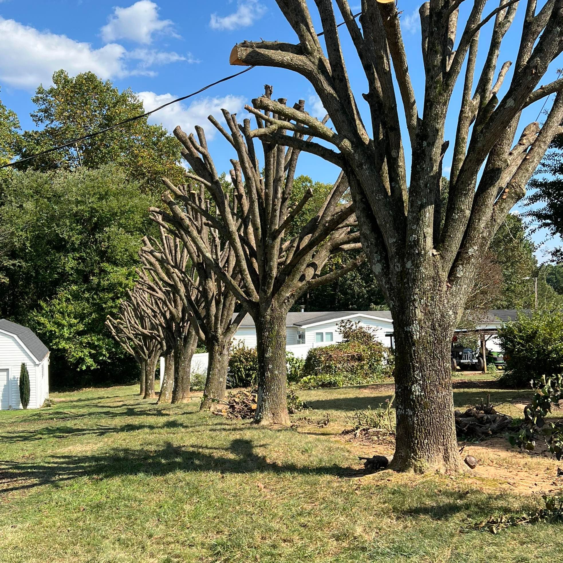  for ABC Tree Service in Dobson, NC