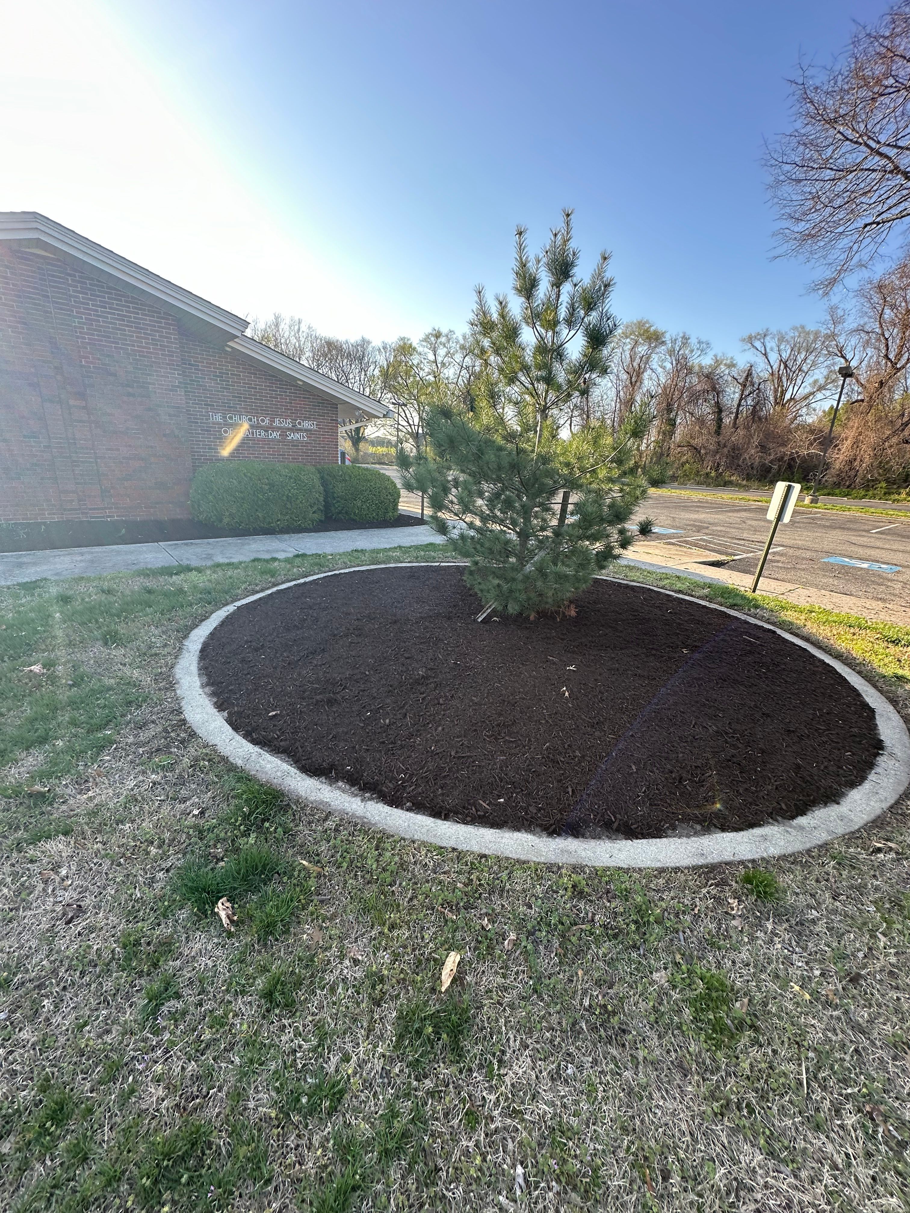  for Alex’s Grass Care in Salisbury, MD
