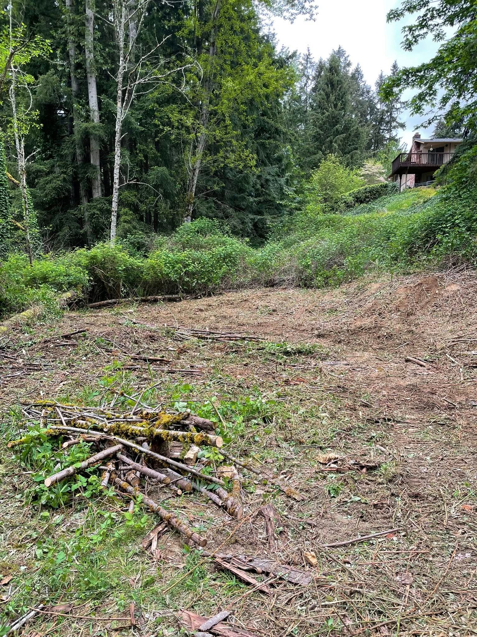  for Wilderness Stump Grinding in Orting, WA