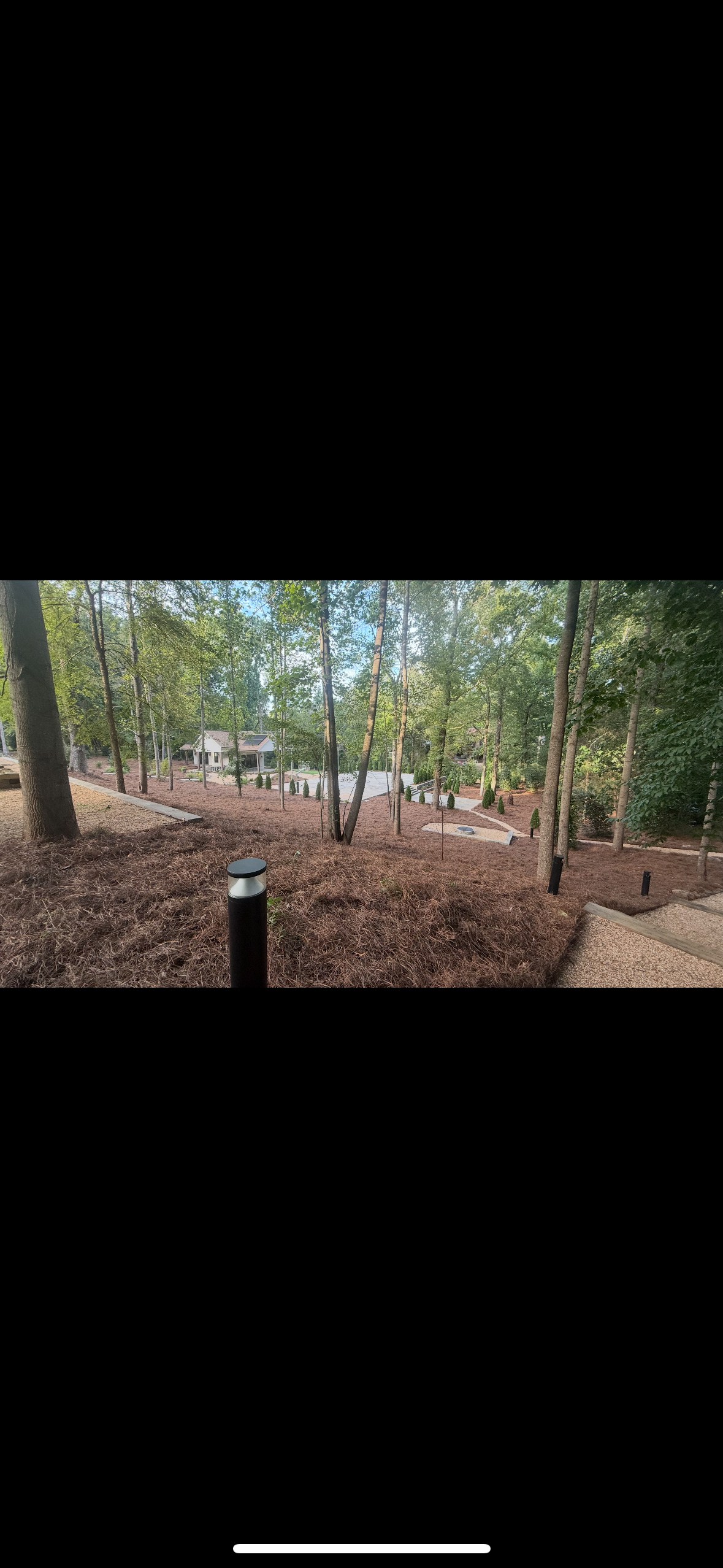  for Pecina Pine Needles in Monroe, NC