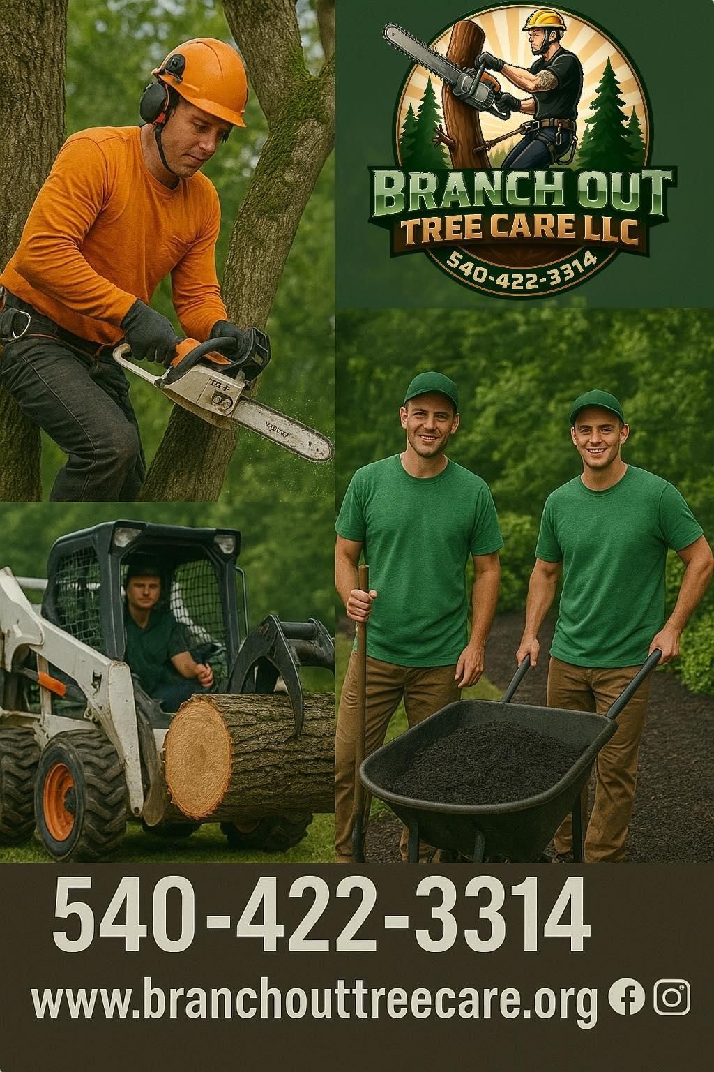 for Branch Out Tree Care LLC in Fredericksburg, VA