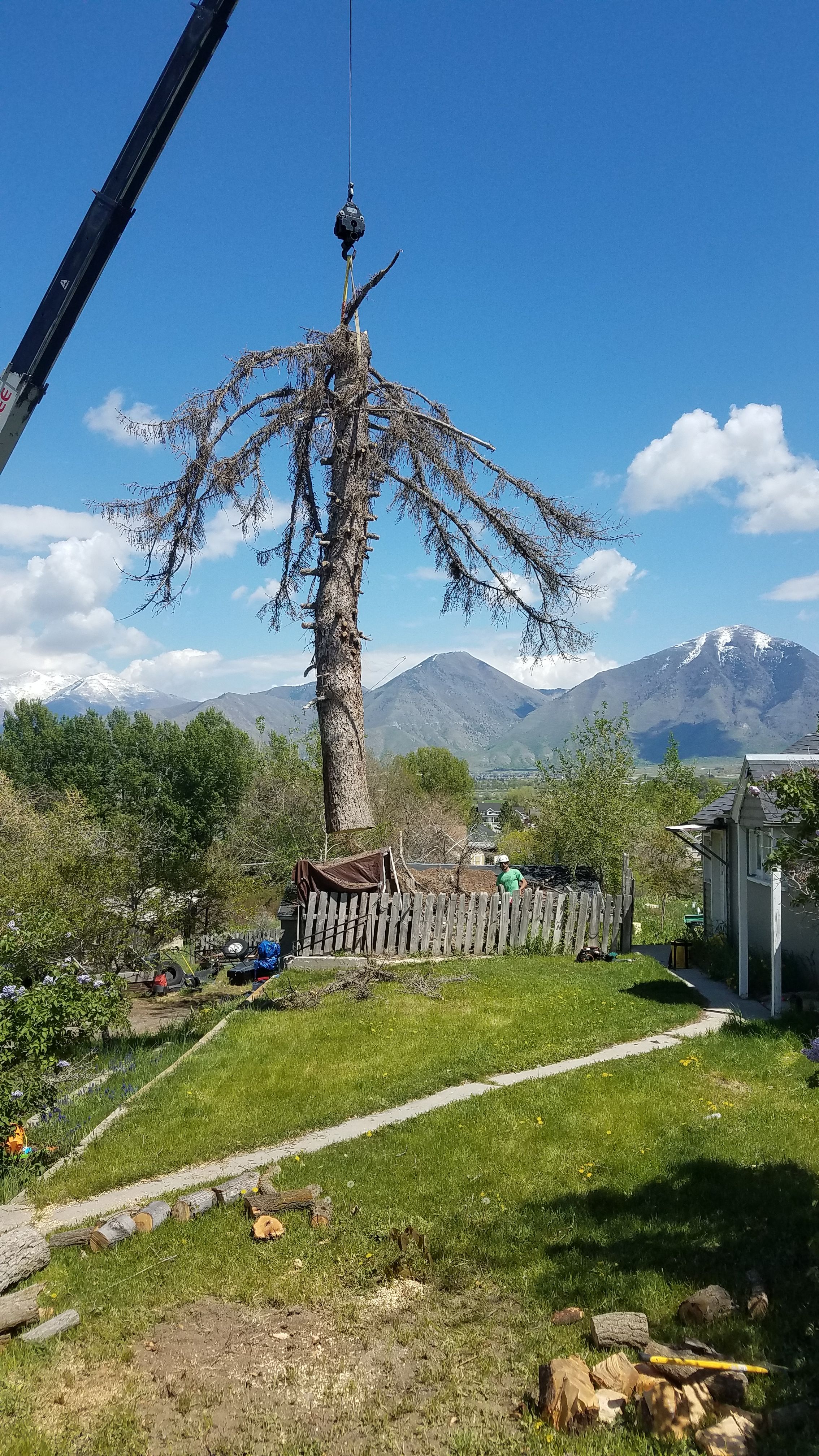  for Platinum Lawn Service in Santaquin, UT