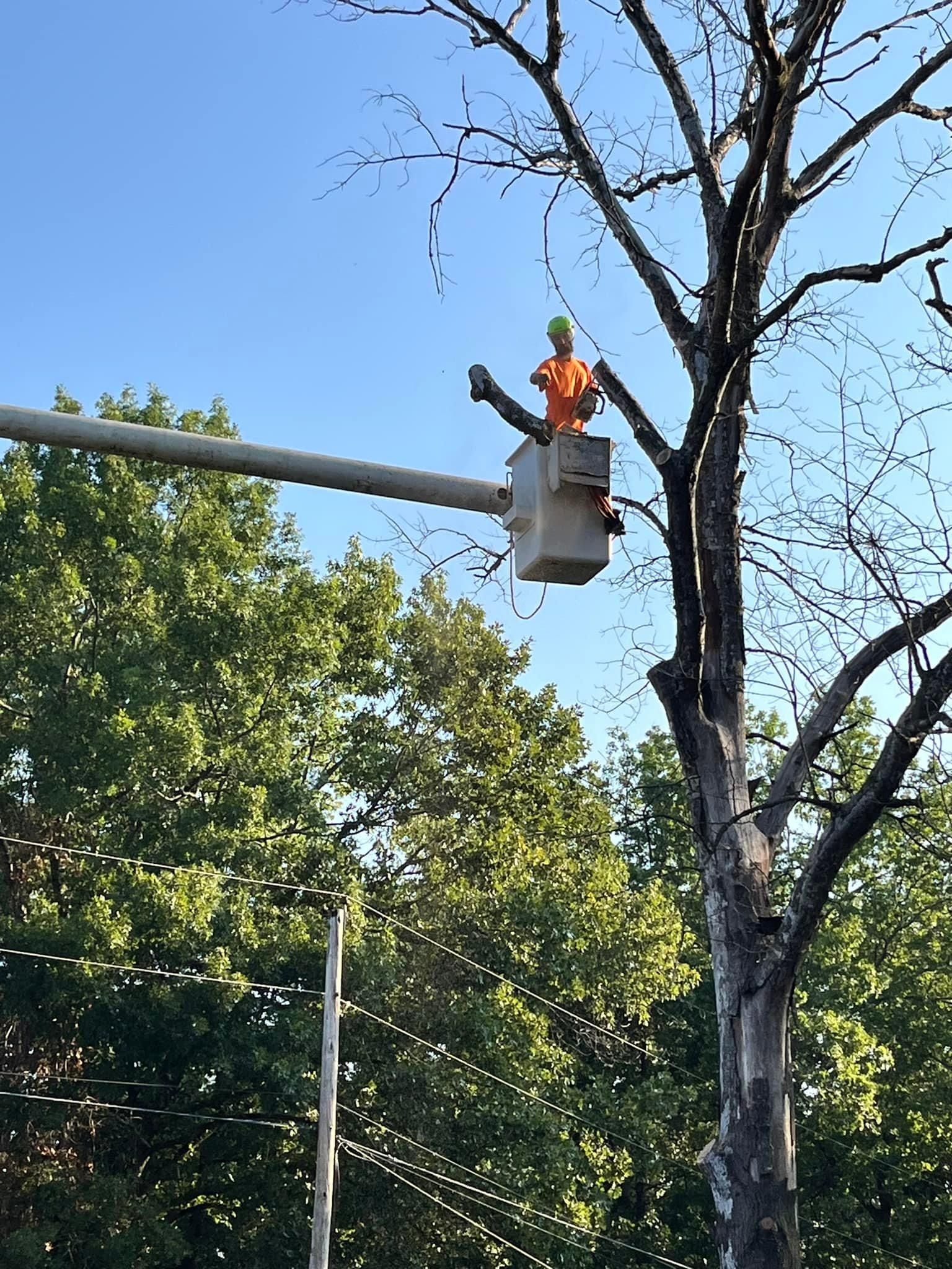  for H n H Tree Service in Taneyville, MO