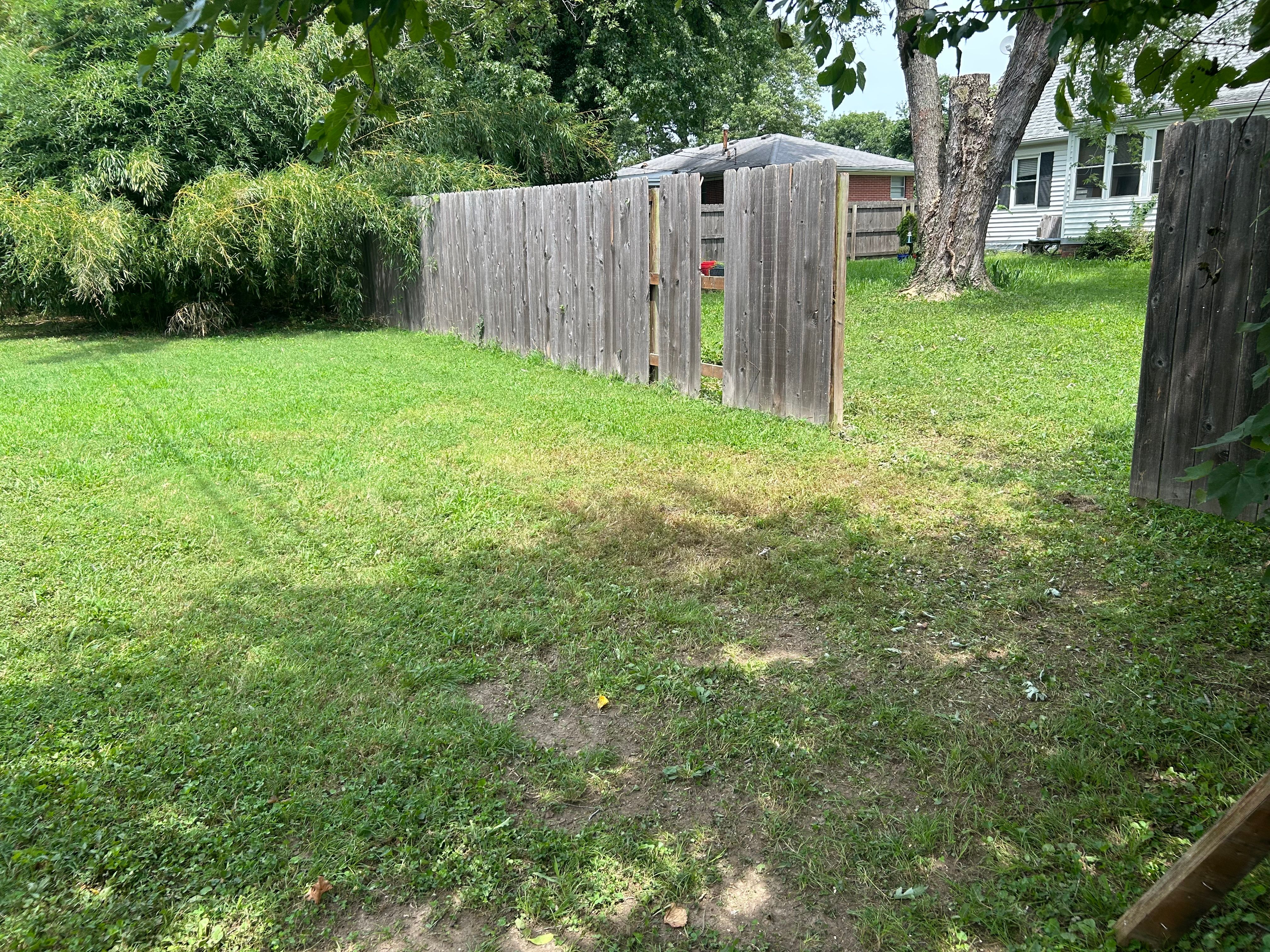  for Stinger Tree Service in Belleville, IL