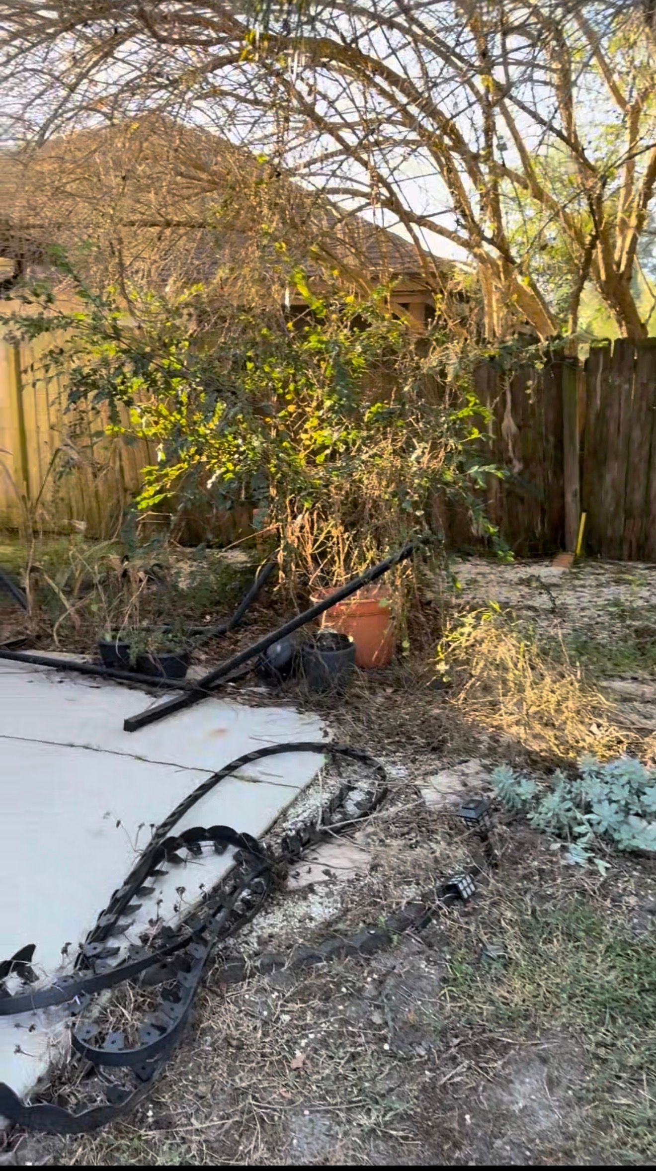  for Whole 9 Yards Services in Green Cove Springs, FL