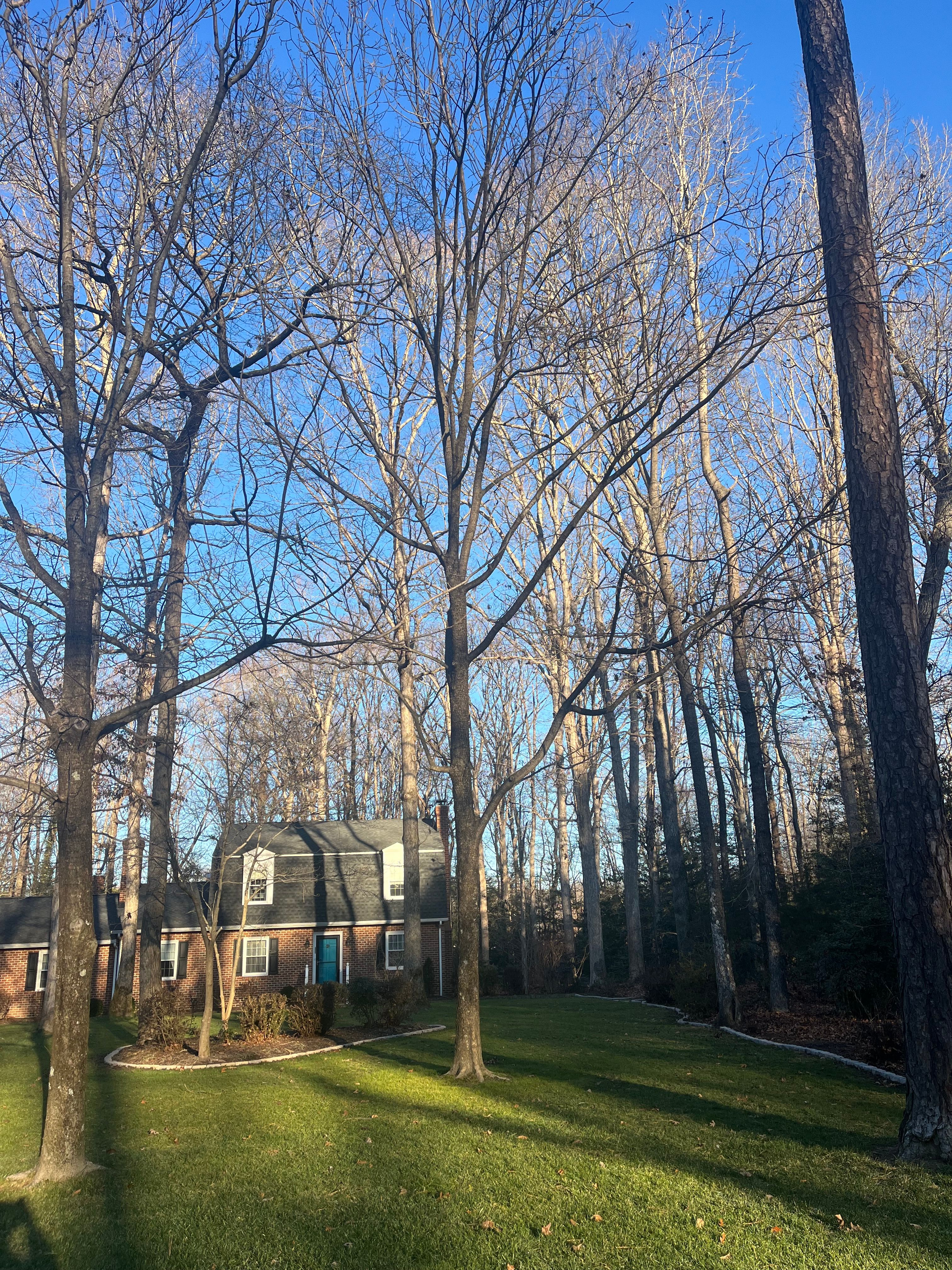  for Atlas Home Services in Mechanicsville, VA